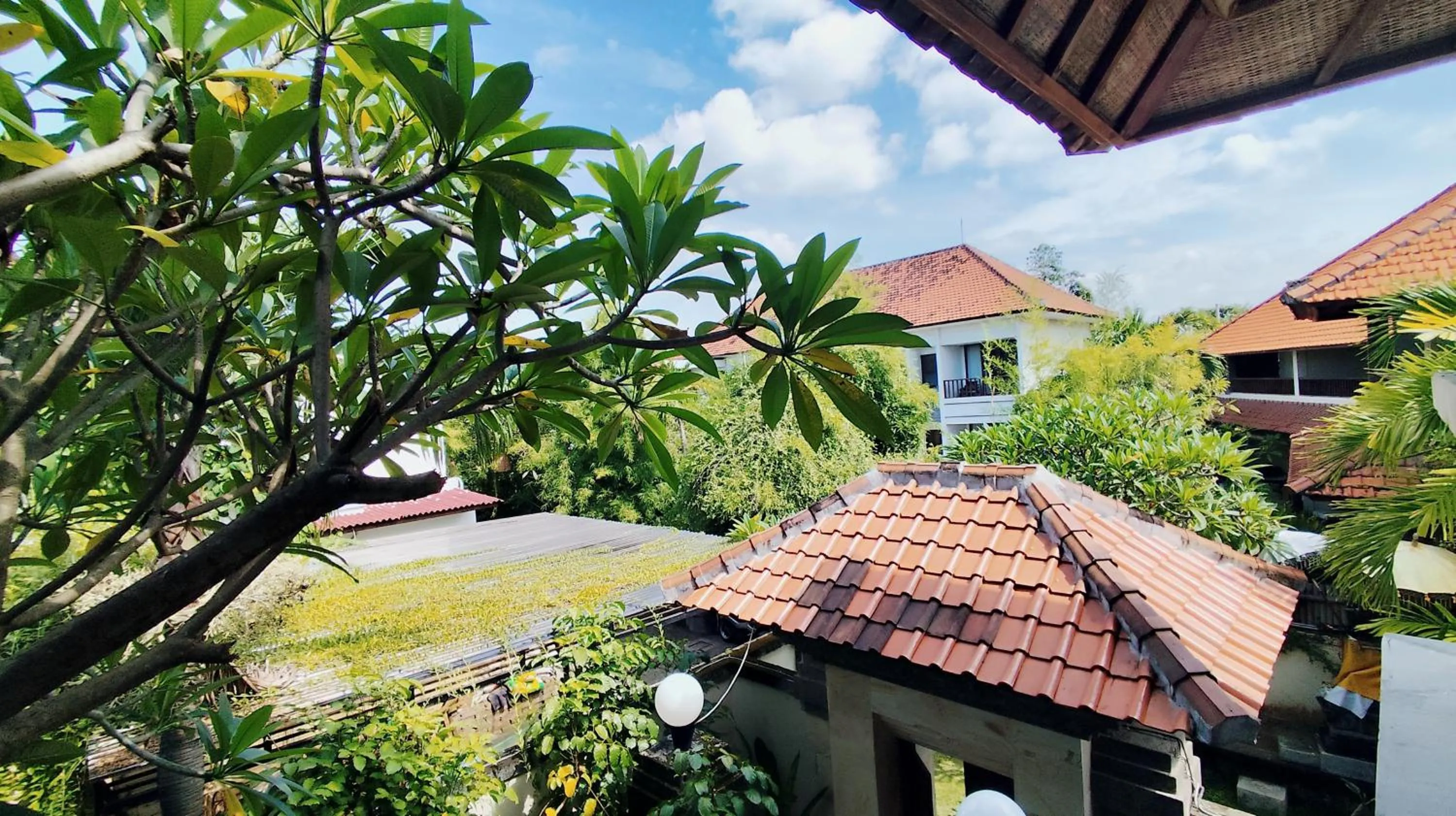 Garden in Villa Diana Bali