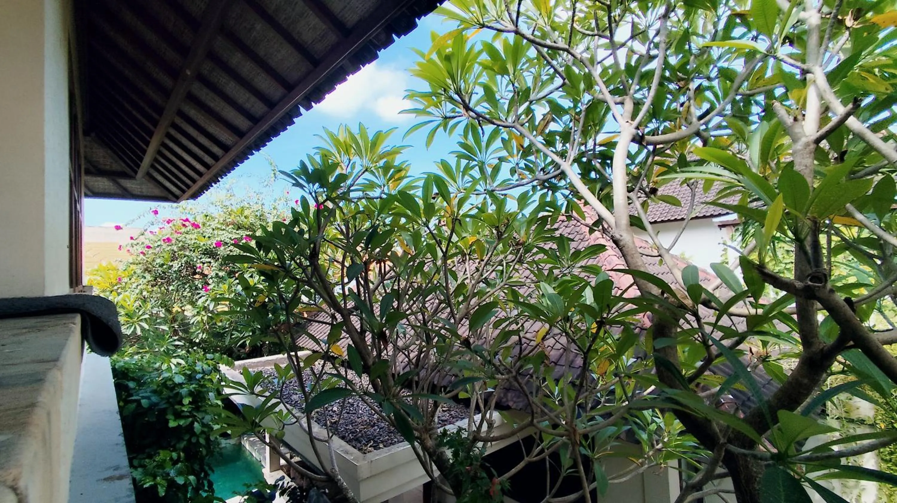 Garden in Villa Diana Bali