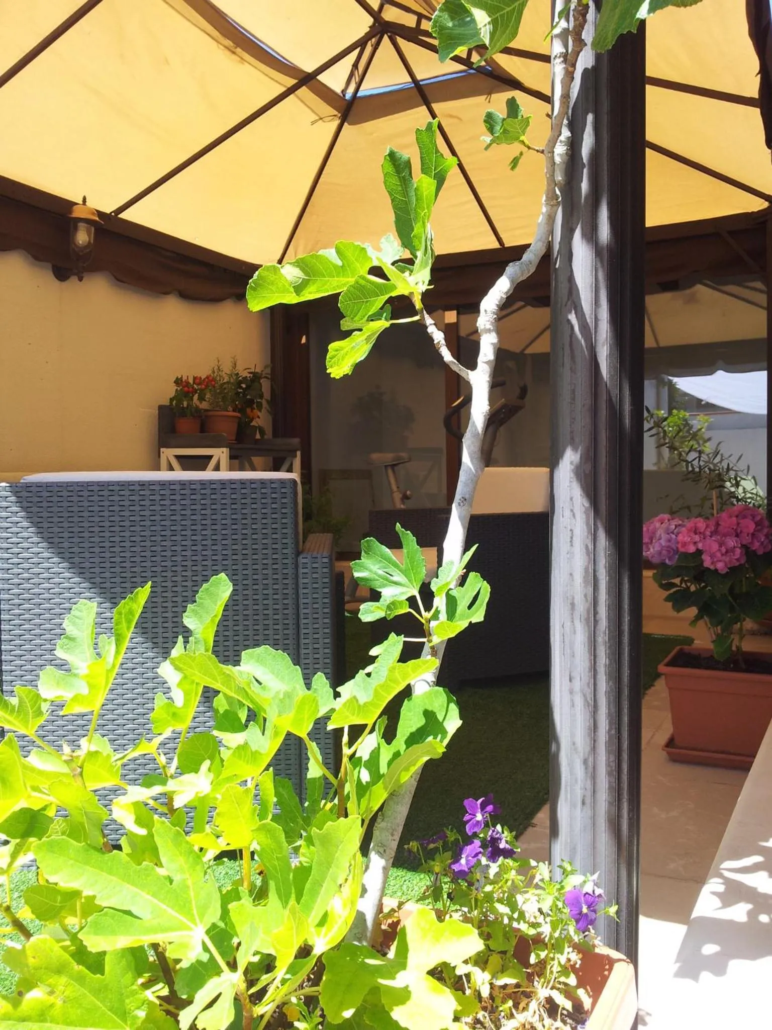 Balcony/Terrace in B&B Torrente Antico