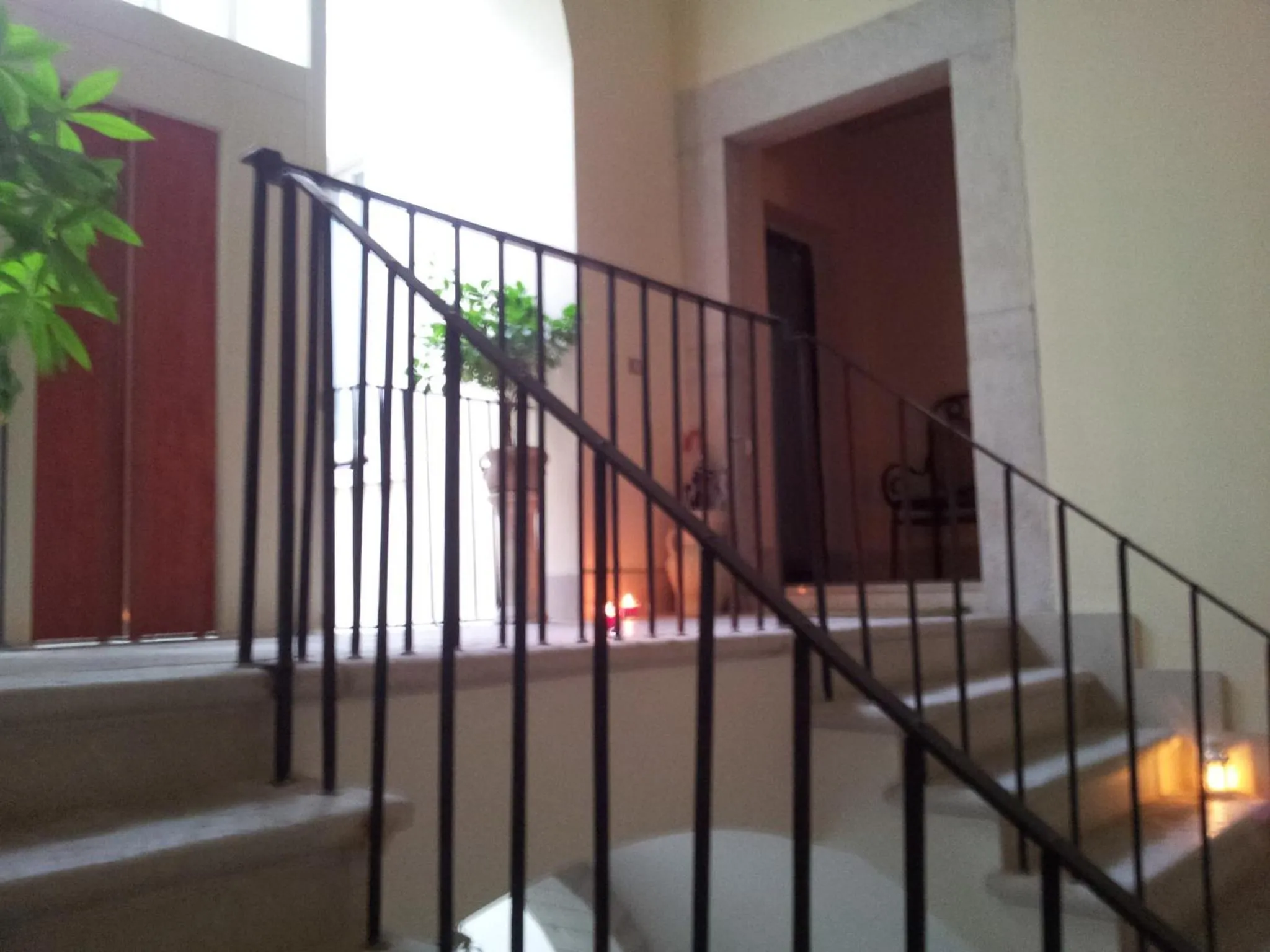 Area and facilities in B&B Torrente Antico