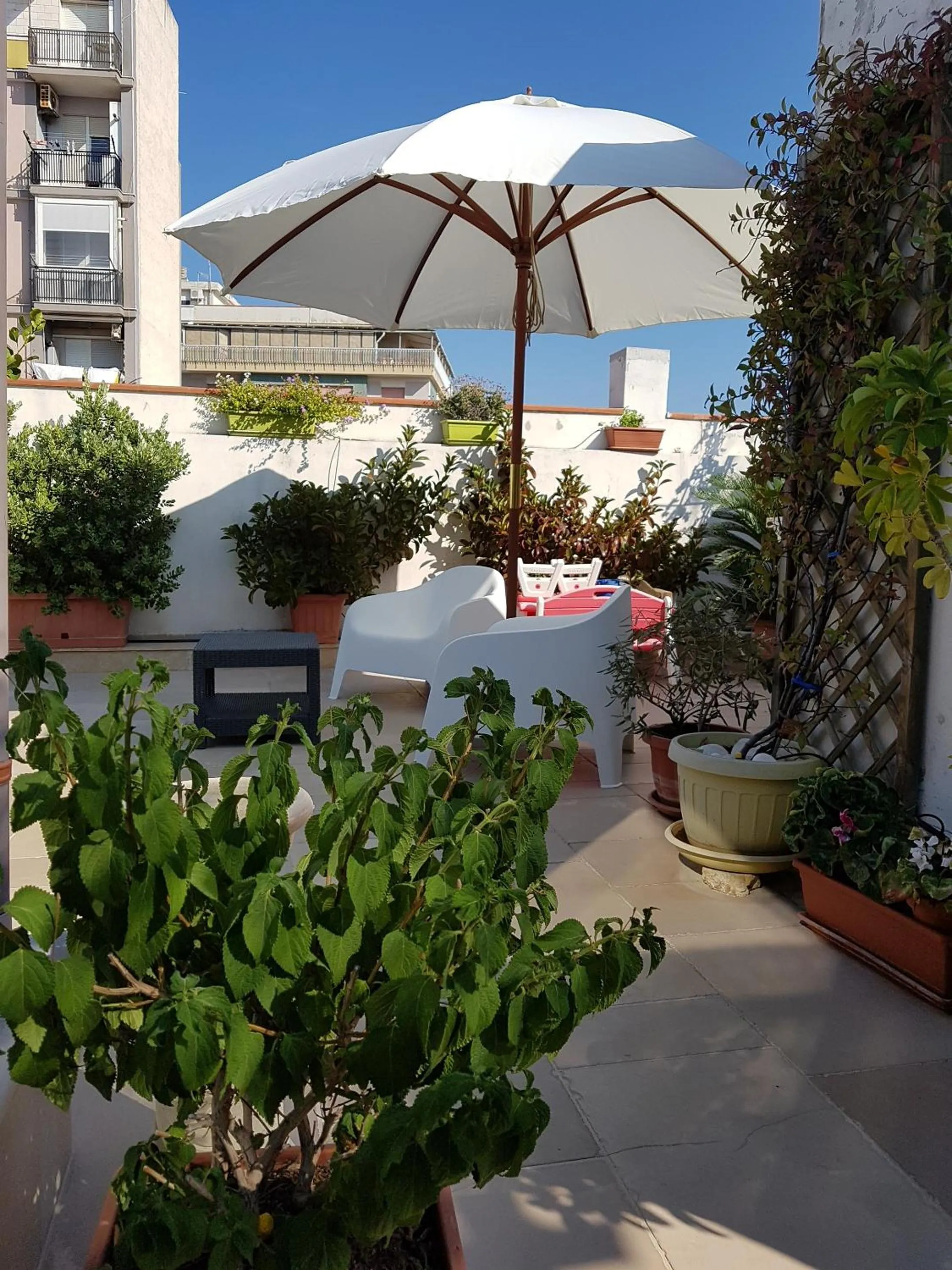 Garden in B&B Torrente Antico