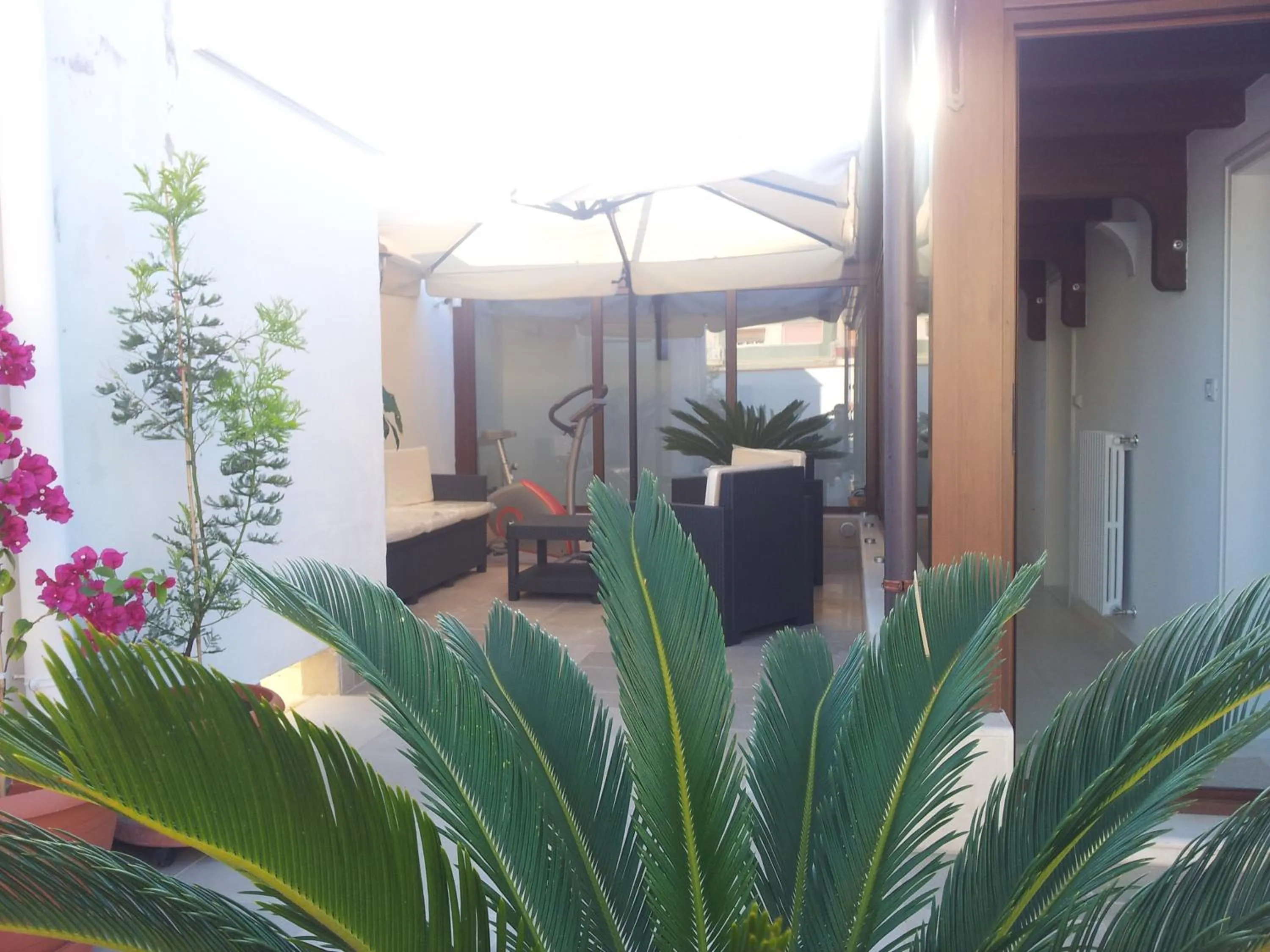 Garden in B&B Torrente Antico