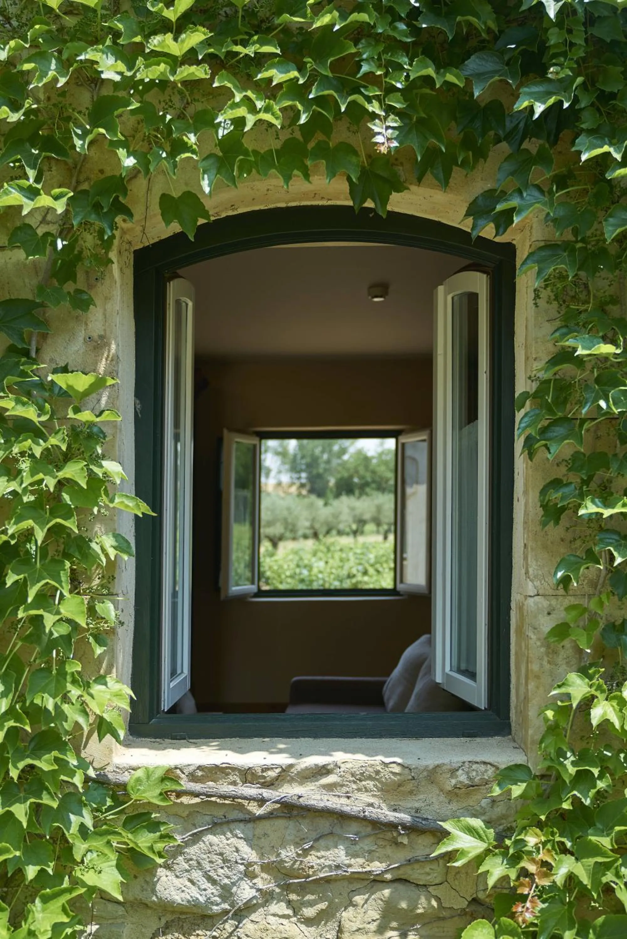 Spring in Hacienda Zorita Wine Hotel & Spa - Small Luxury Hotels