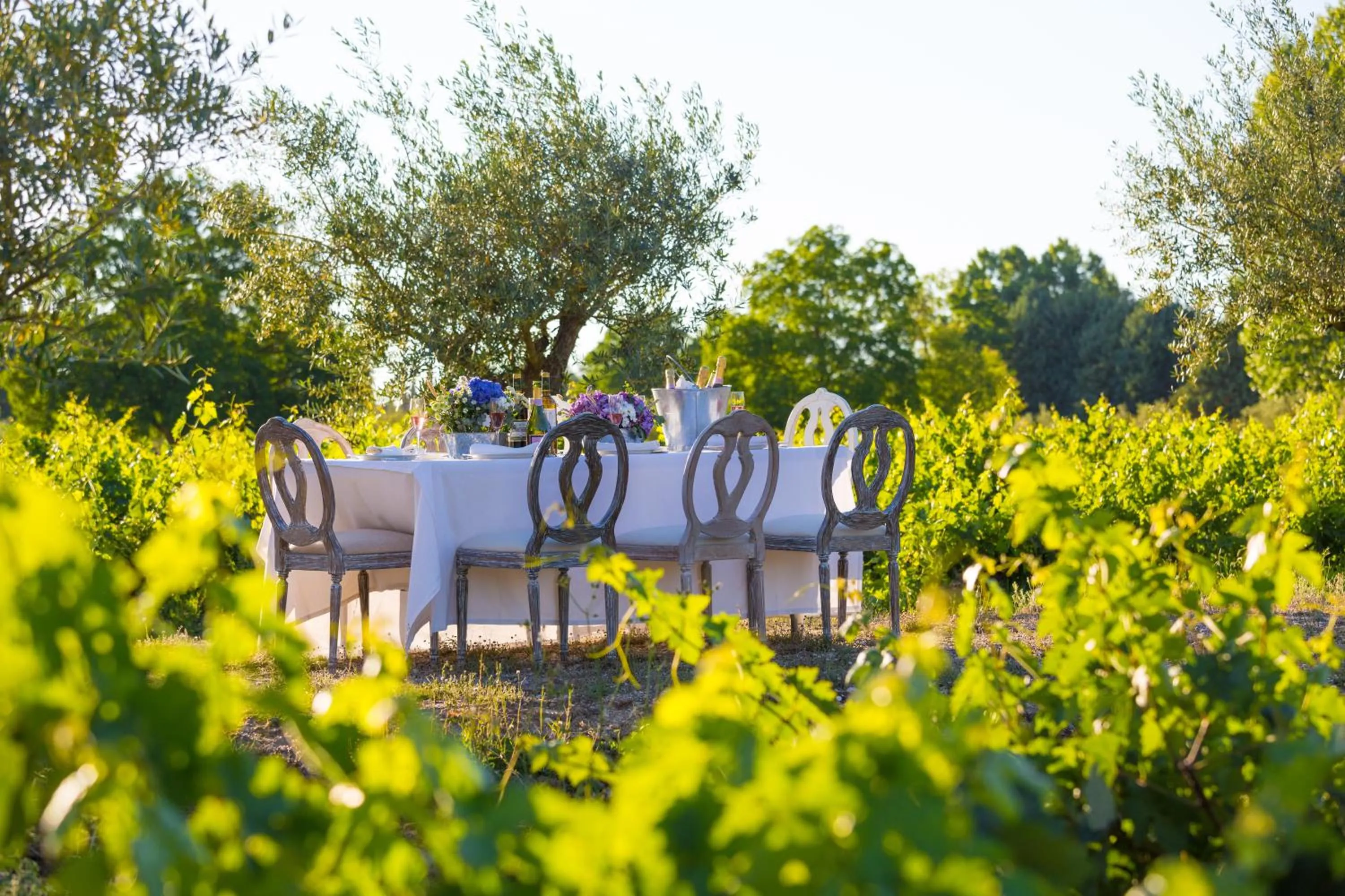 Other in Hacienda Zorita Wine Hotel & Spa - Small Luxury Hotels