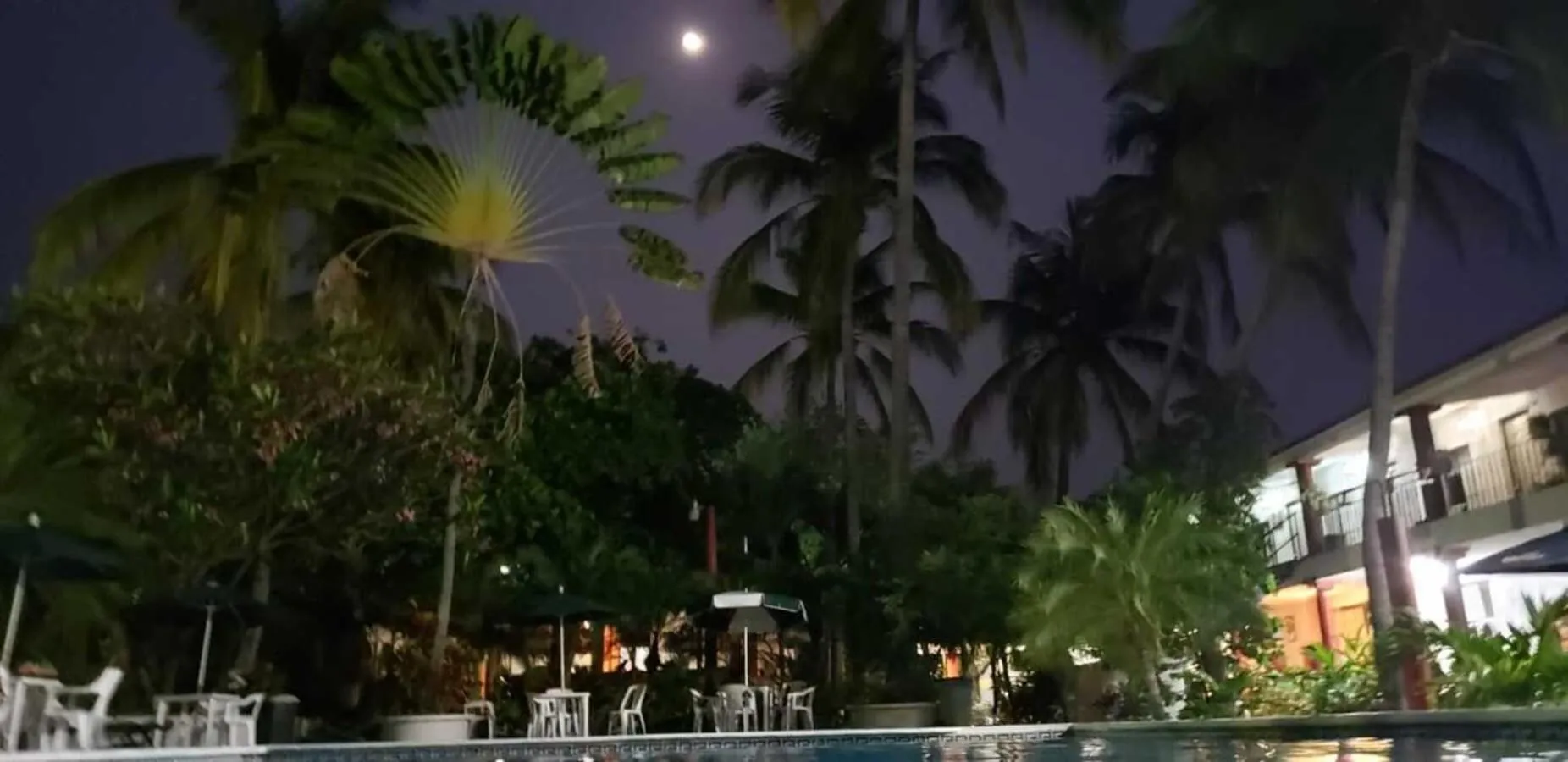 Garden view in Hotel Albatros