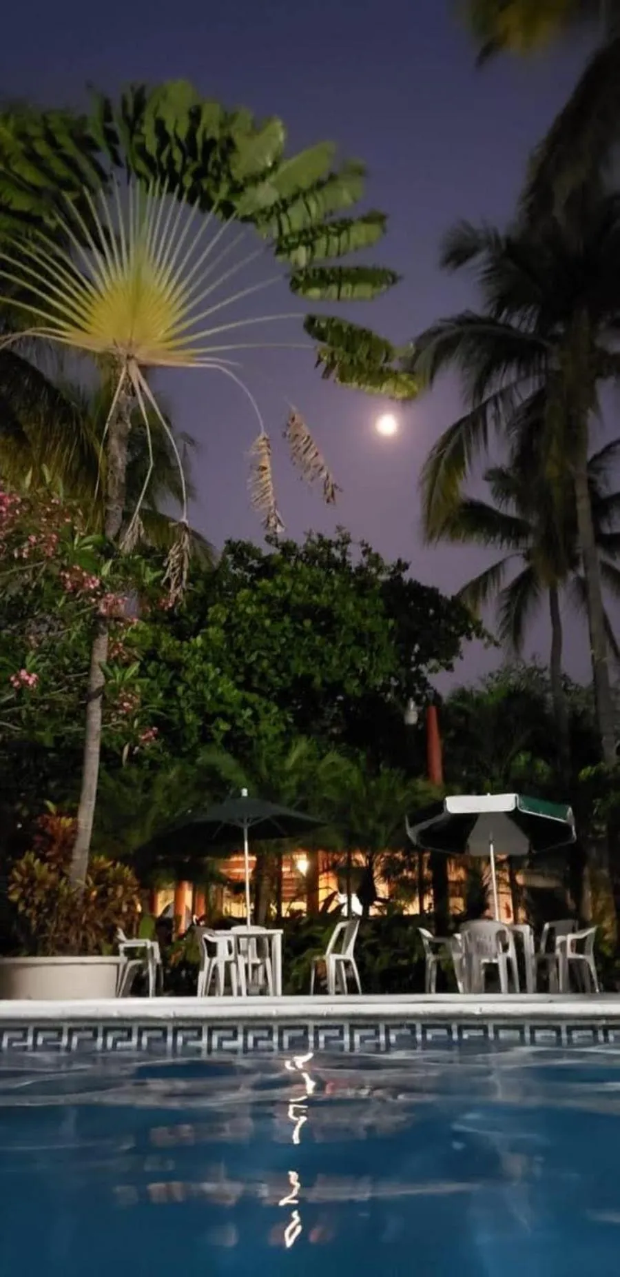 Swimming pool in Hotel Albatros