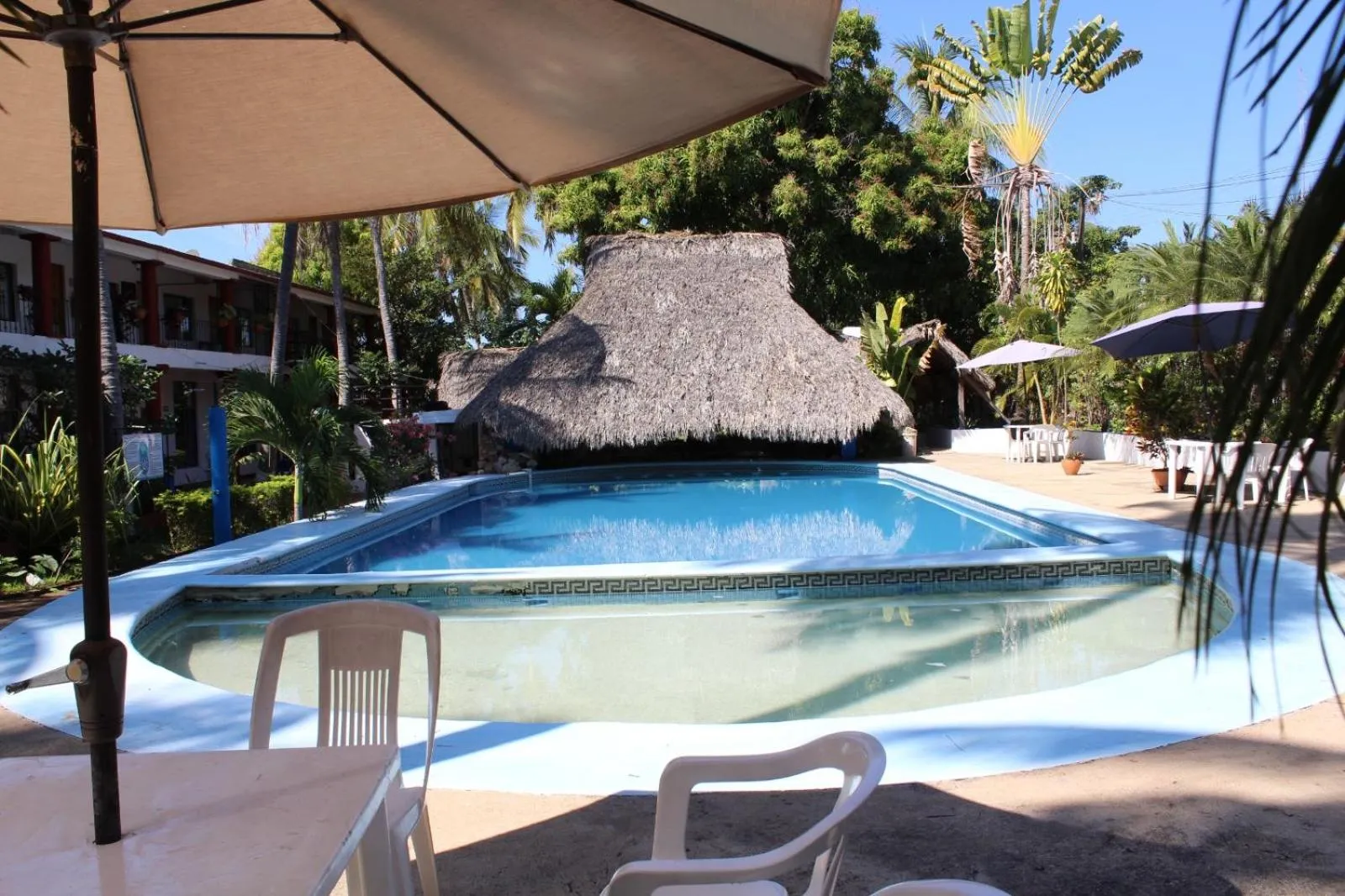 Swimming pool in Hotel Albatros