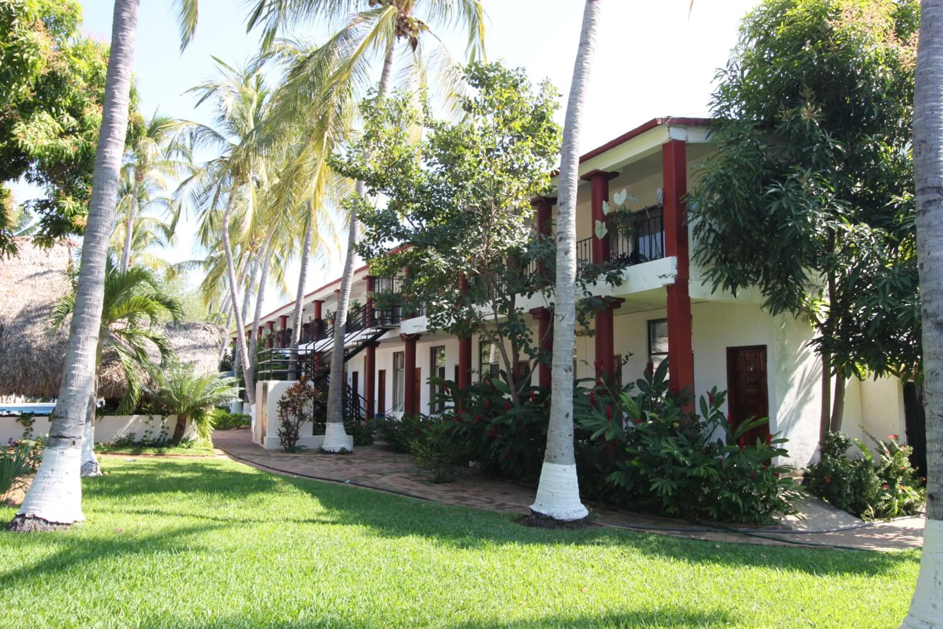 Garden in Hotel Albatros