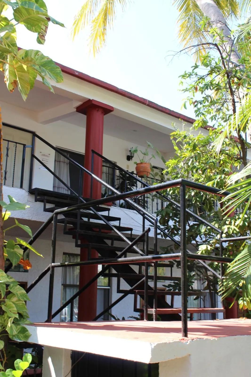 View (from property/room) in Hotel Albatros