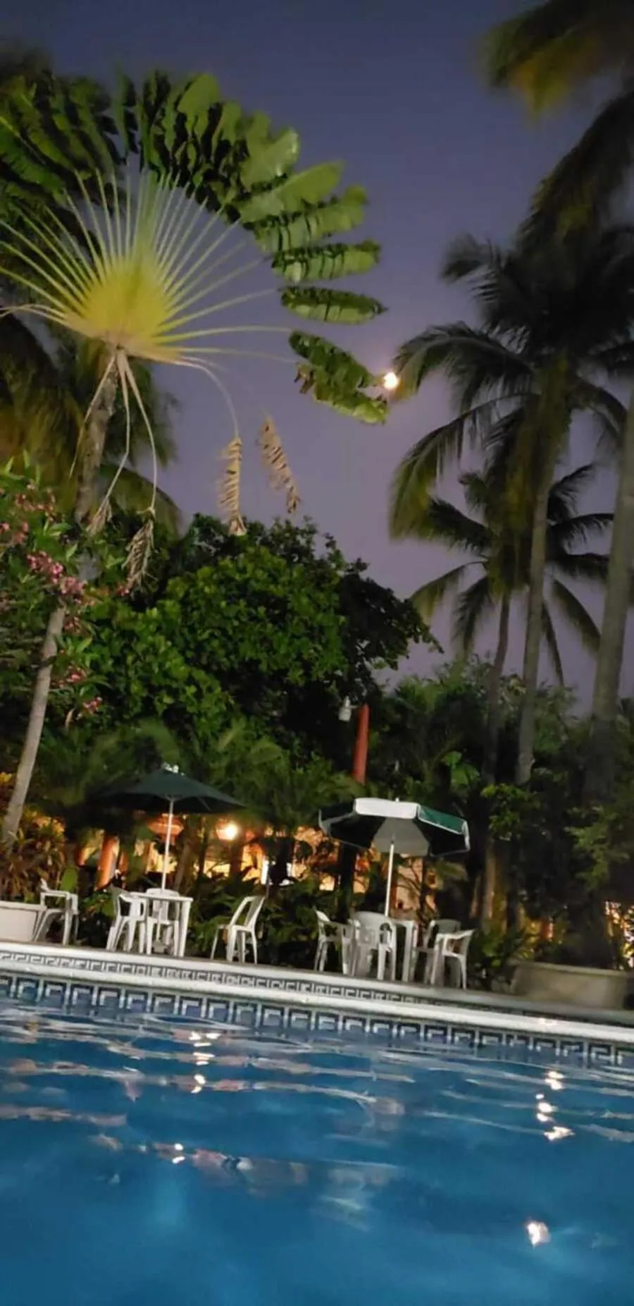 Pool view in Hotel Albatros