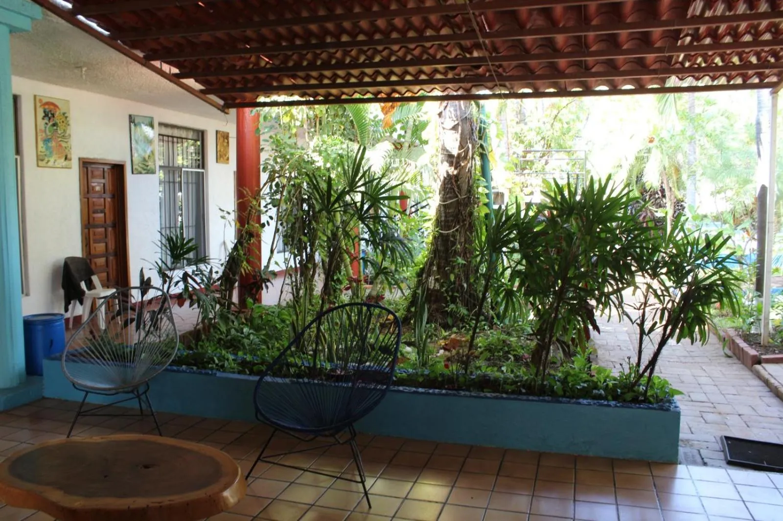 View (from property/room) in Hotel Albatros