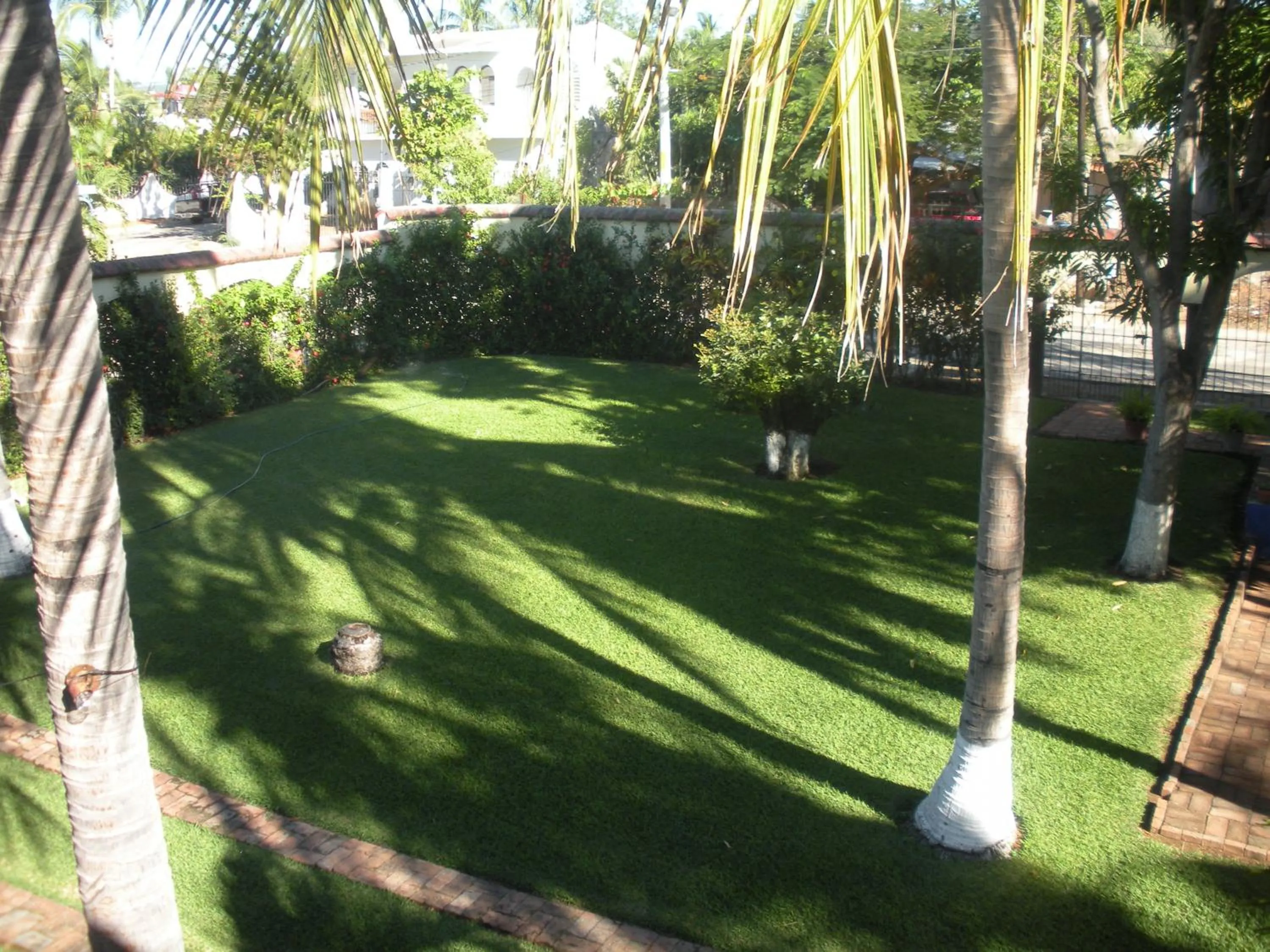Garden in Hotel Albatros