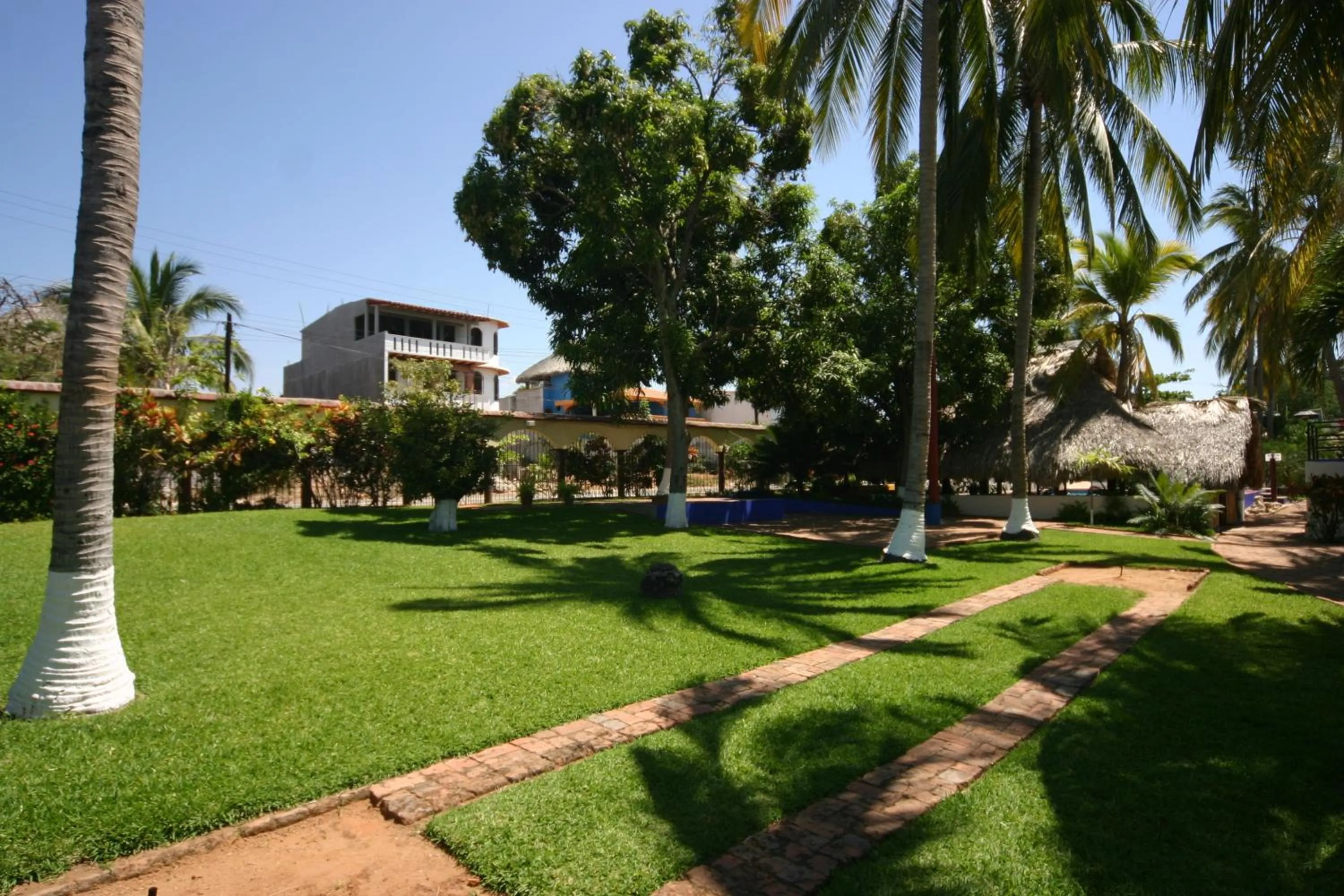 Garden in Hotel Albatros