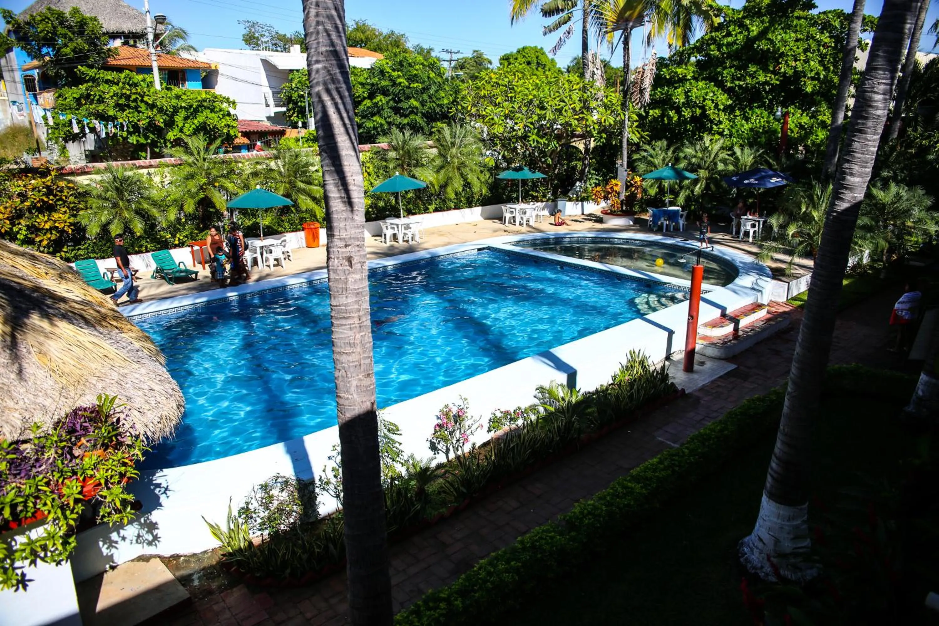 Pool view in Hotel Albatros