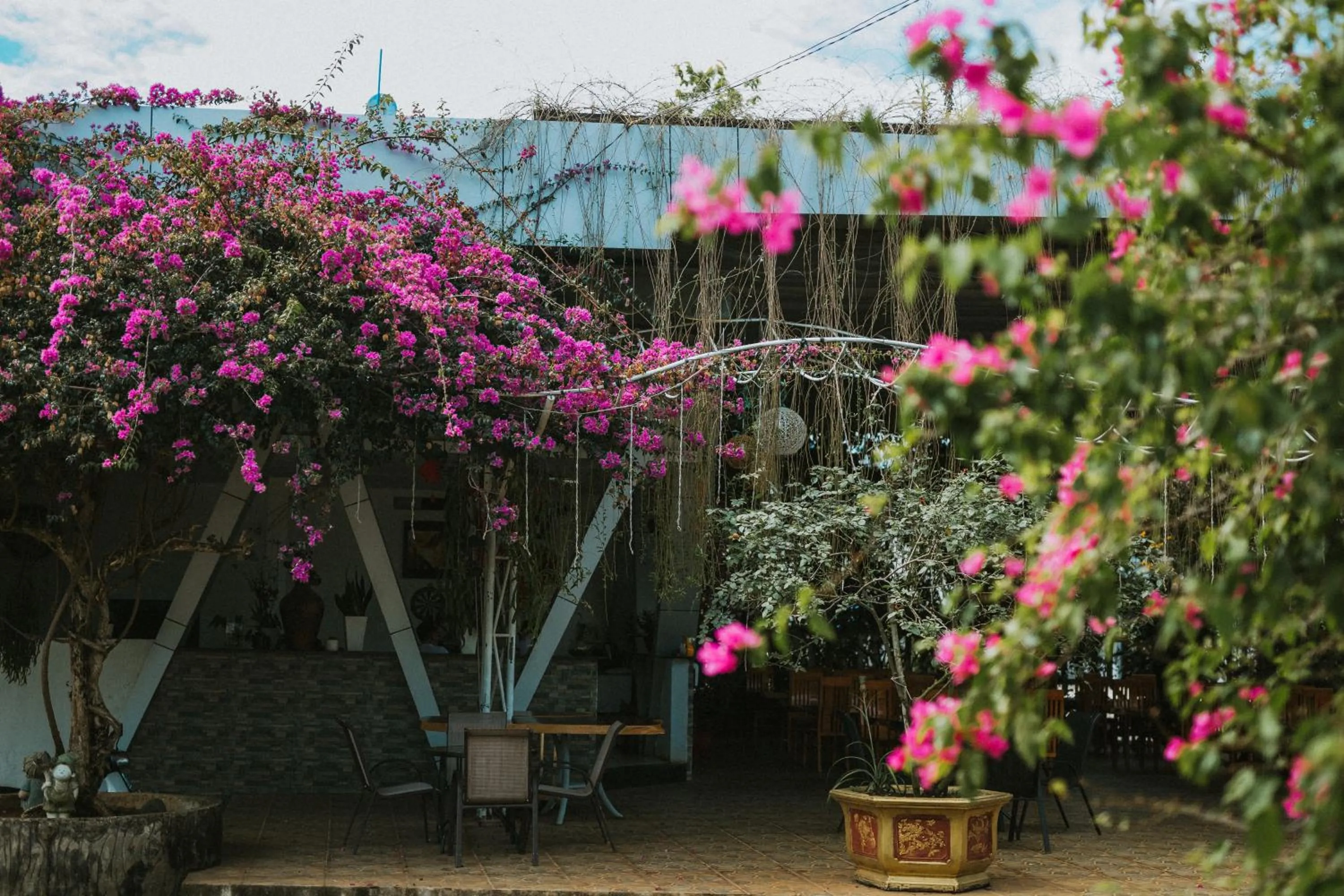 Restaurant/places to eat in Nhat Quang Hotel