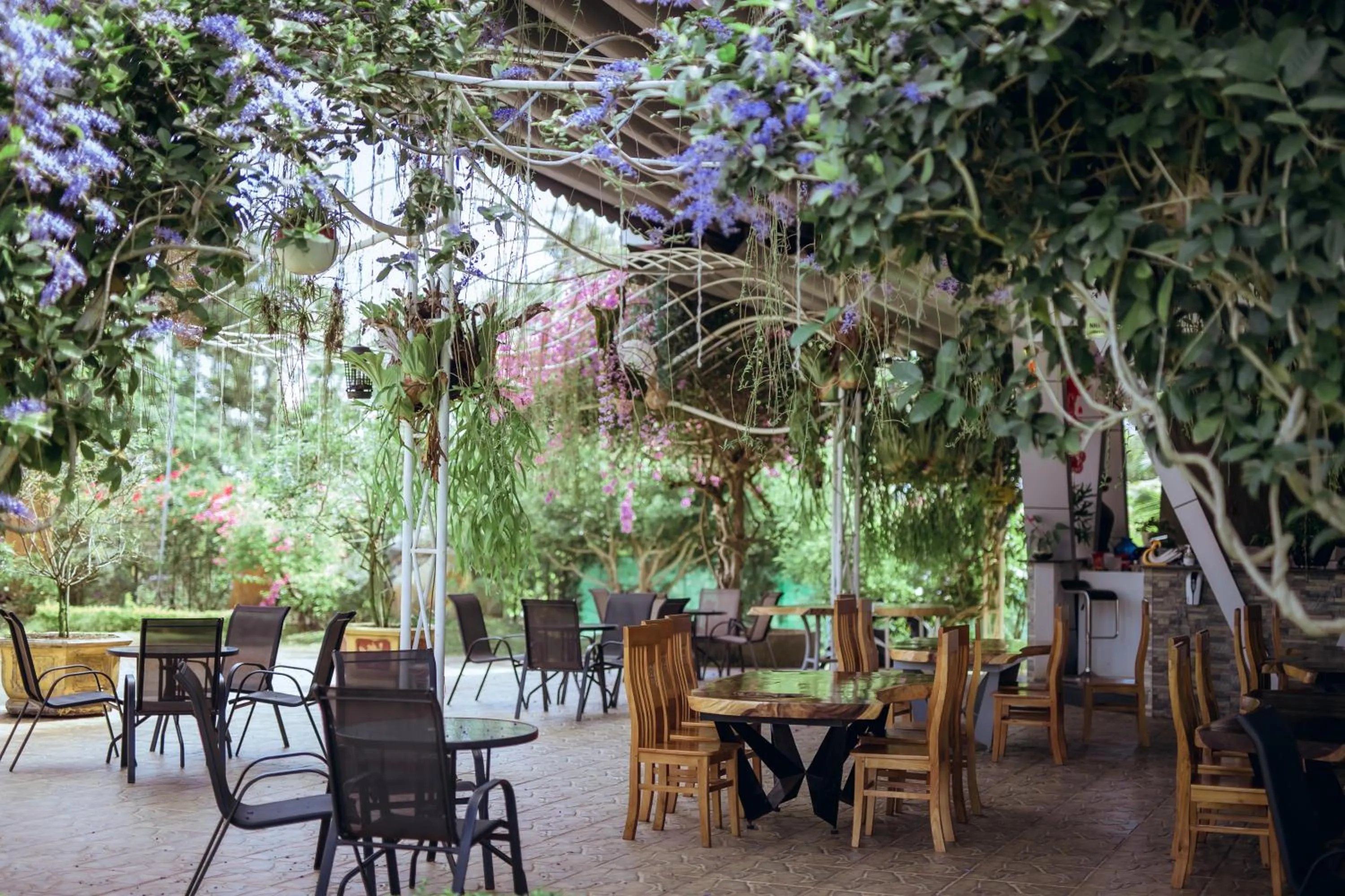 Restaurant/places to eat in Nhat Quang Hotel