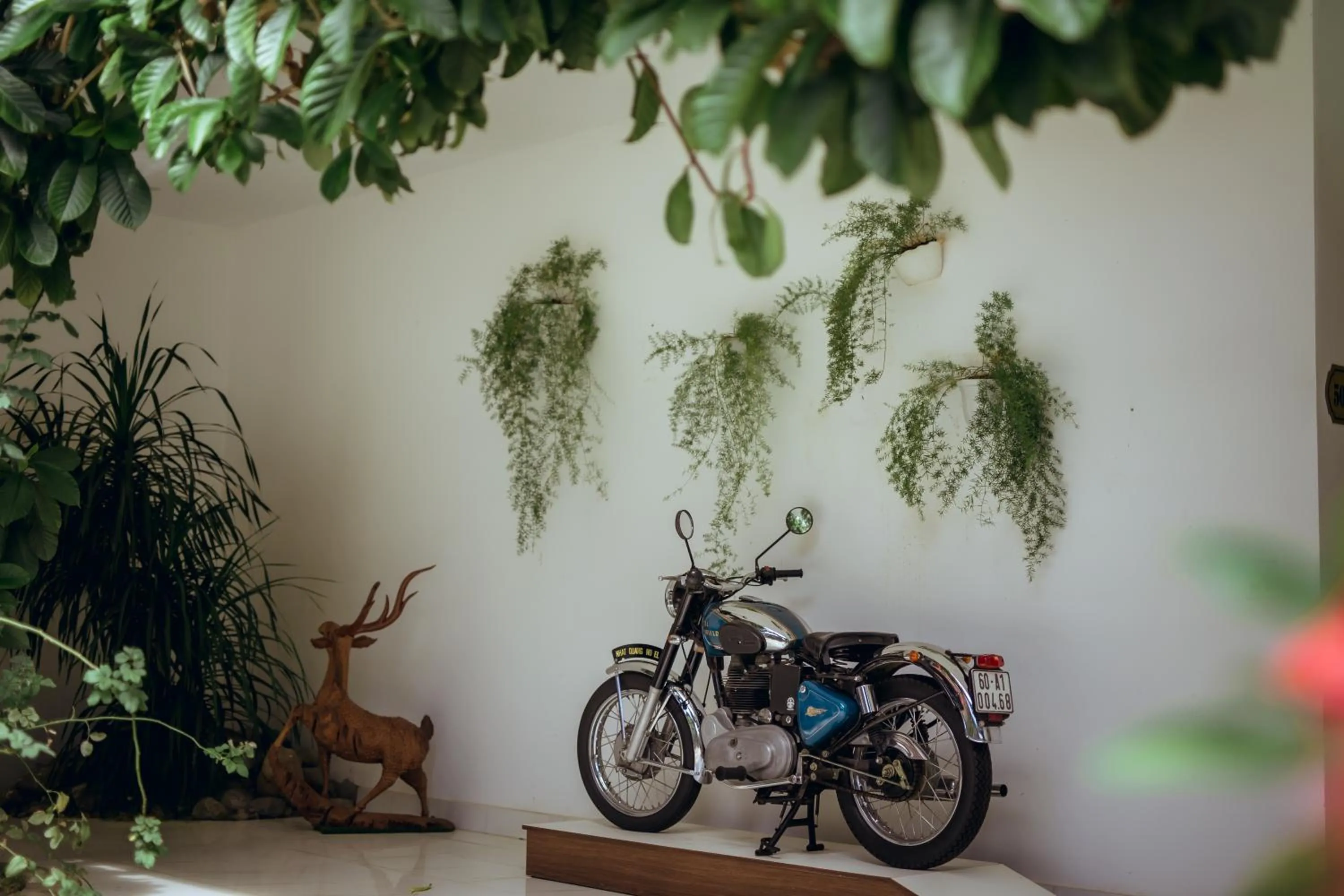 Garden in Nhat Quang Hotel