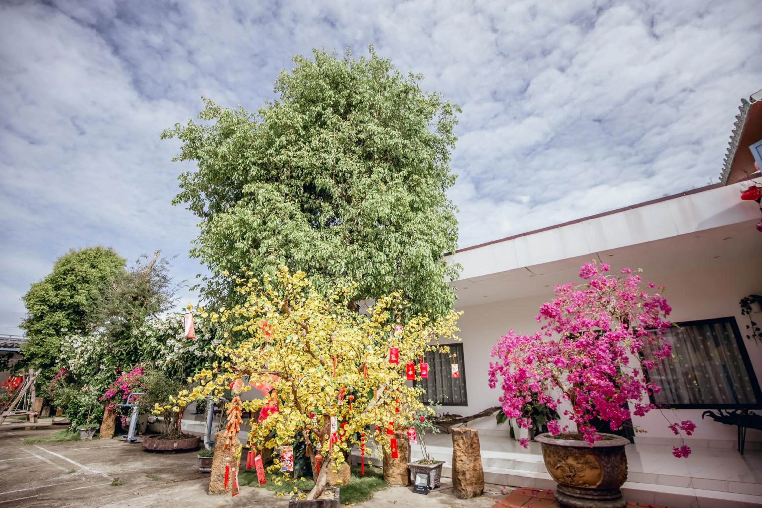 Garden in Nhat Quang Hotel