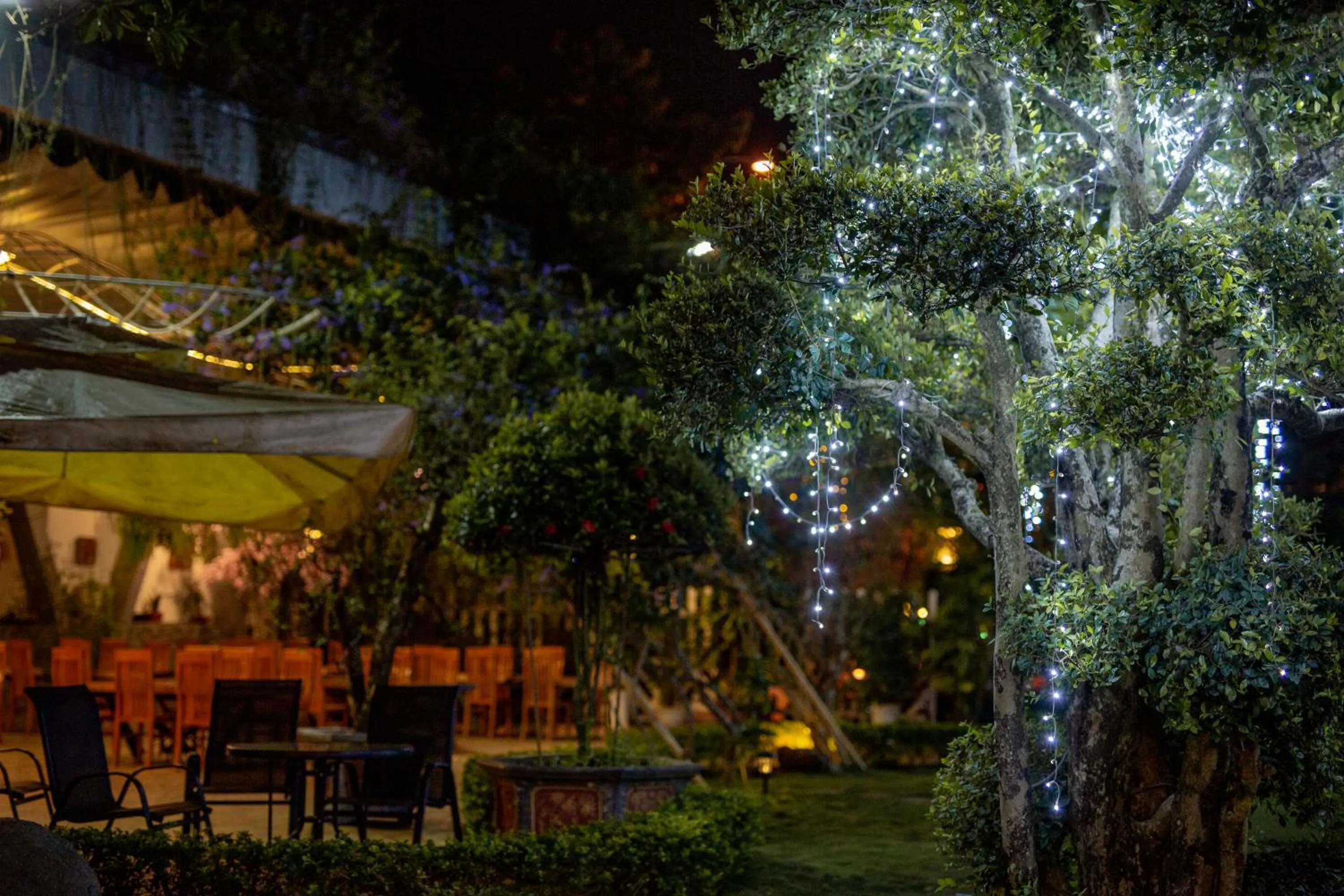 Restaurant/places to eat in Nhat Quang Hotel