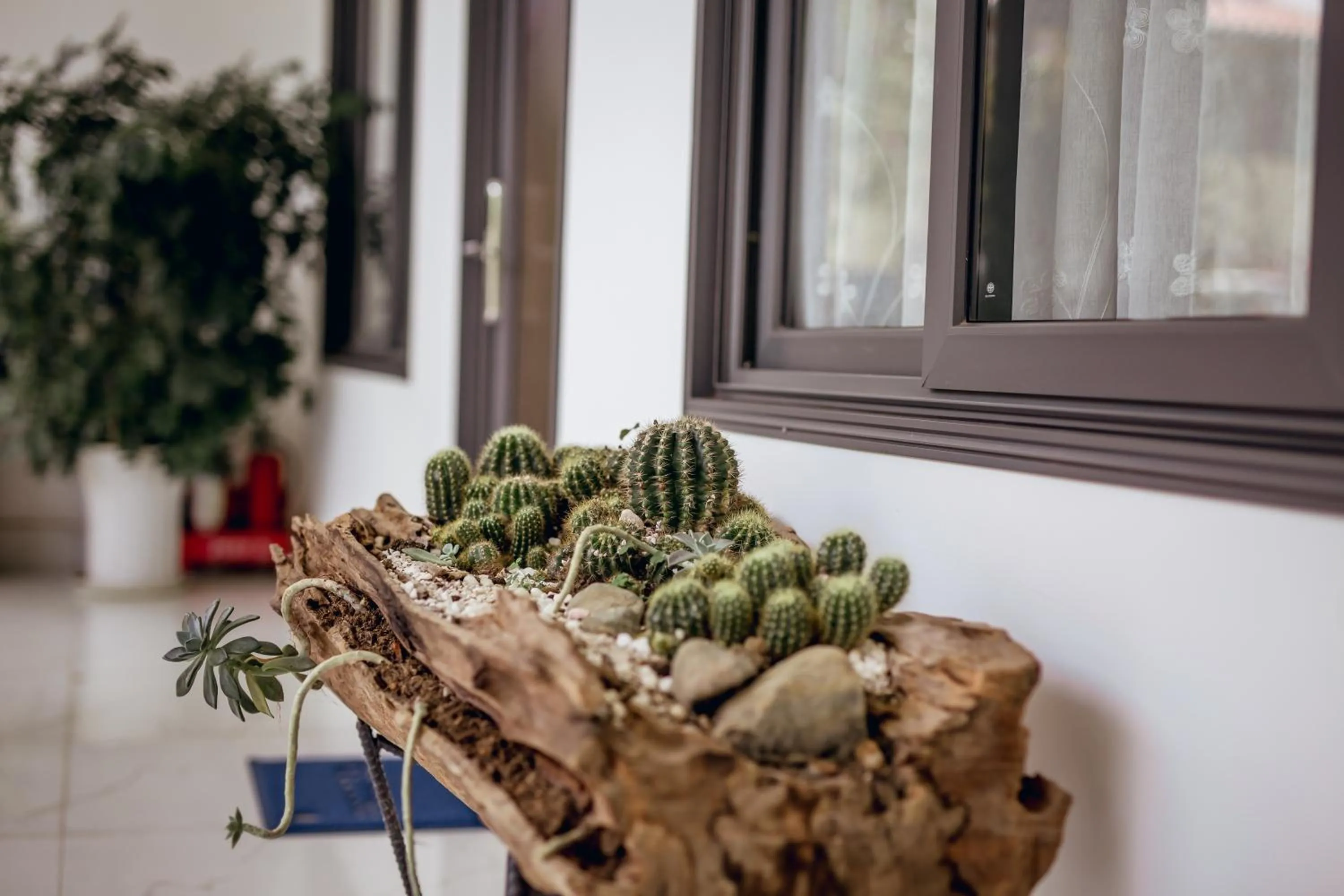 Garden in Nhat Quang Hotel