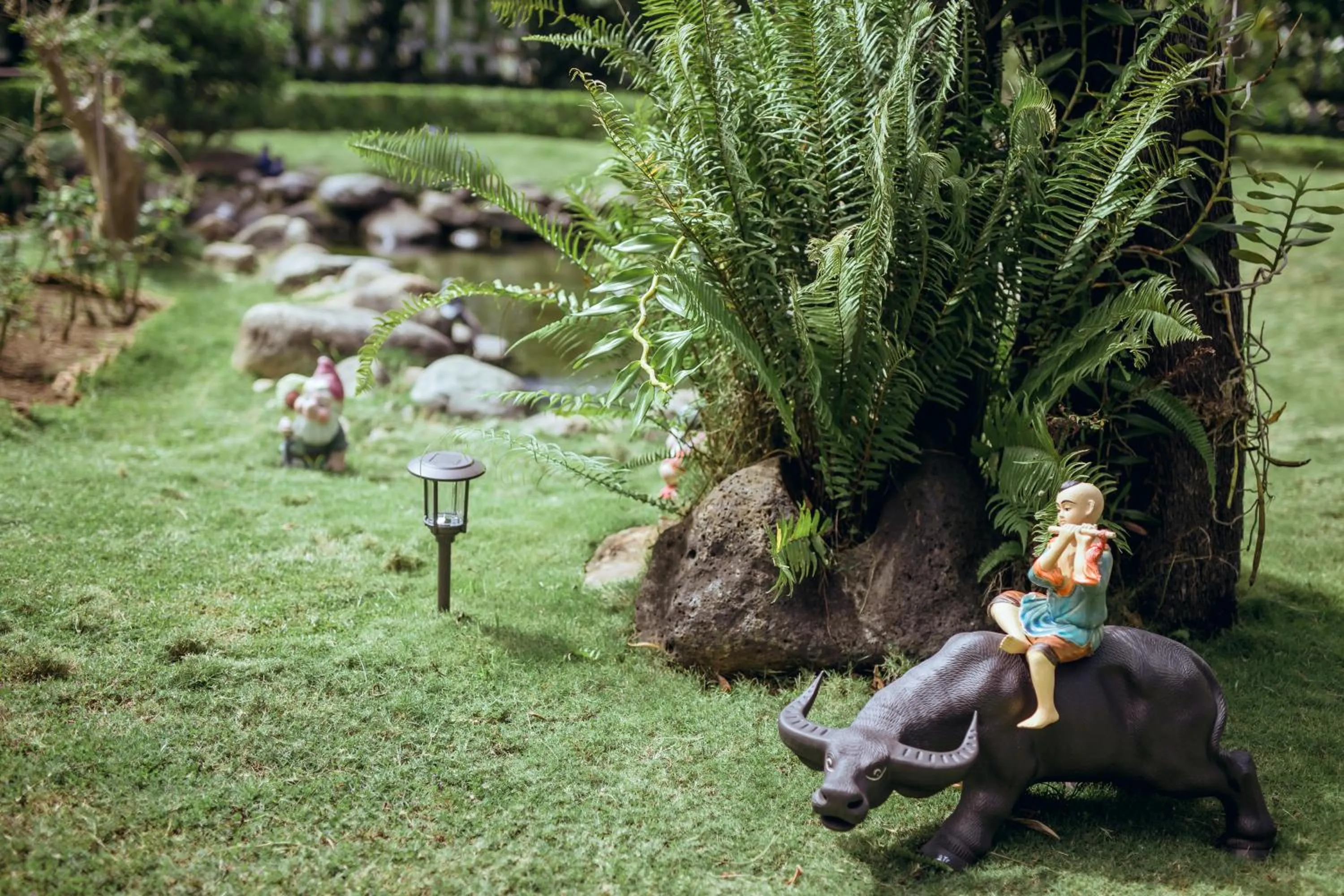 Garden in Nhat Quang Hotel