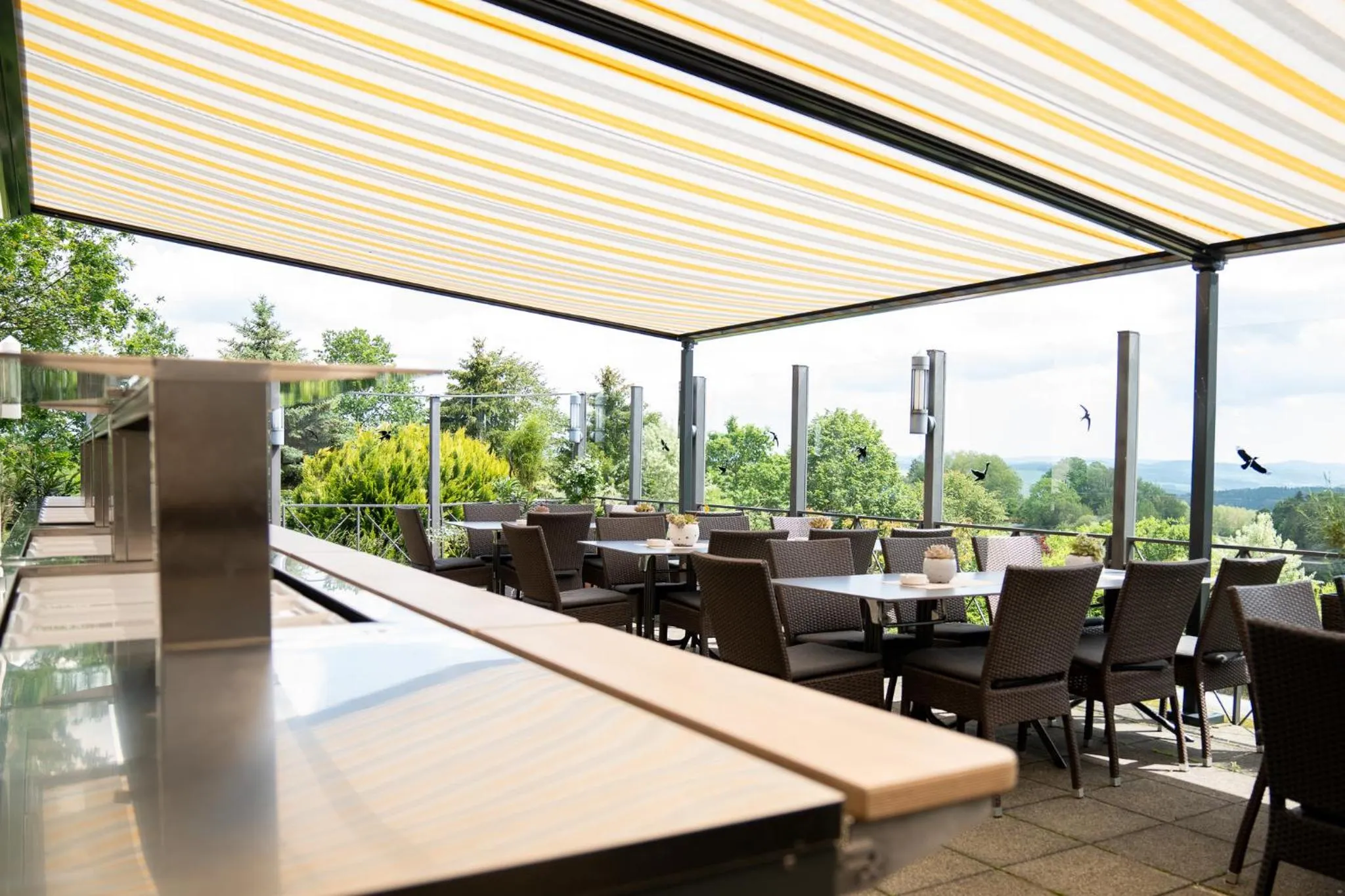 Restaurant/places to eat in Hotel Waldesruh