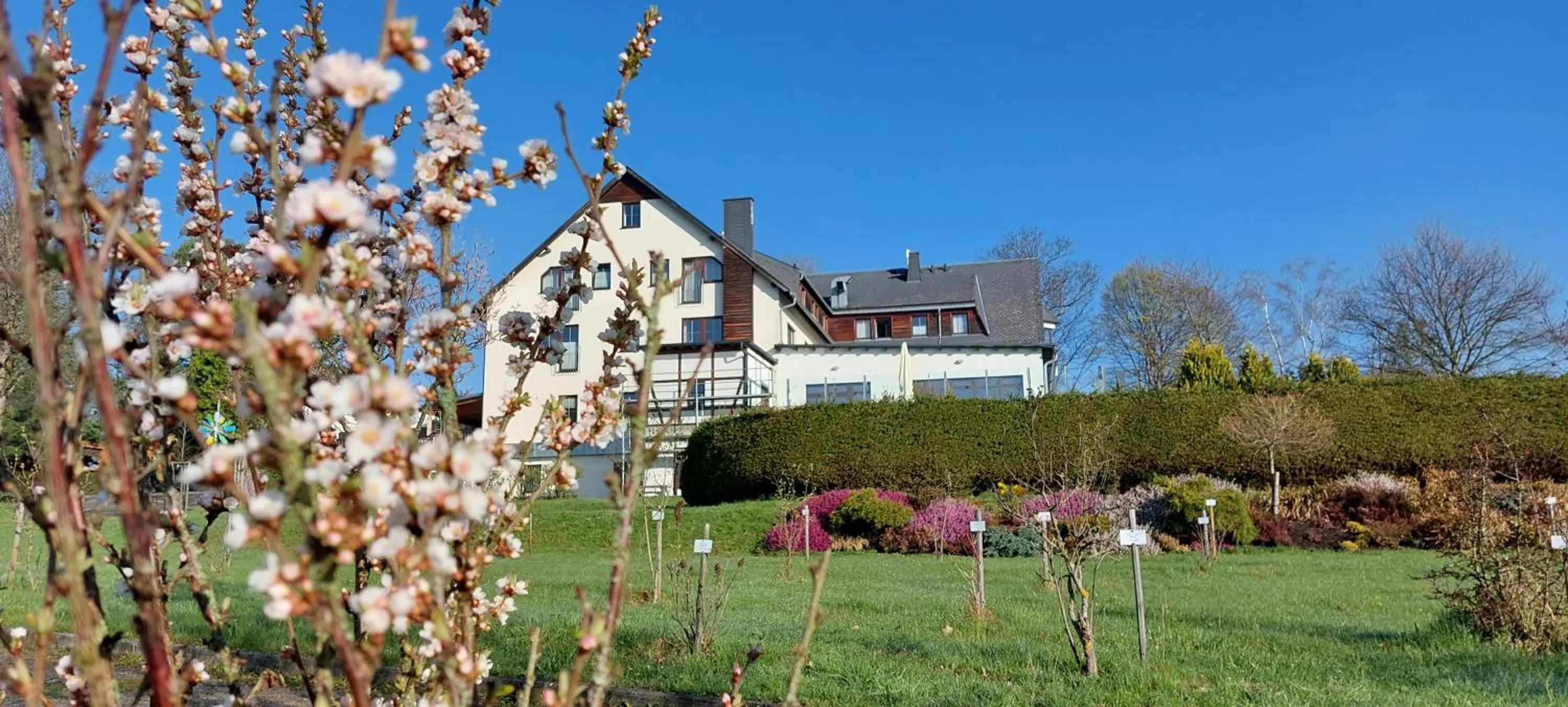 Garden in Hotel Waldesruh