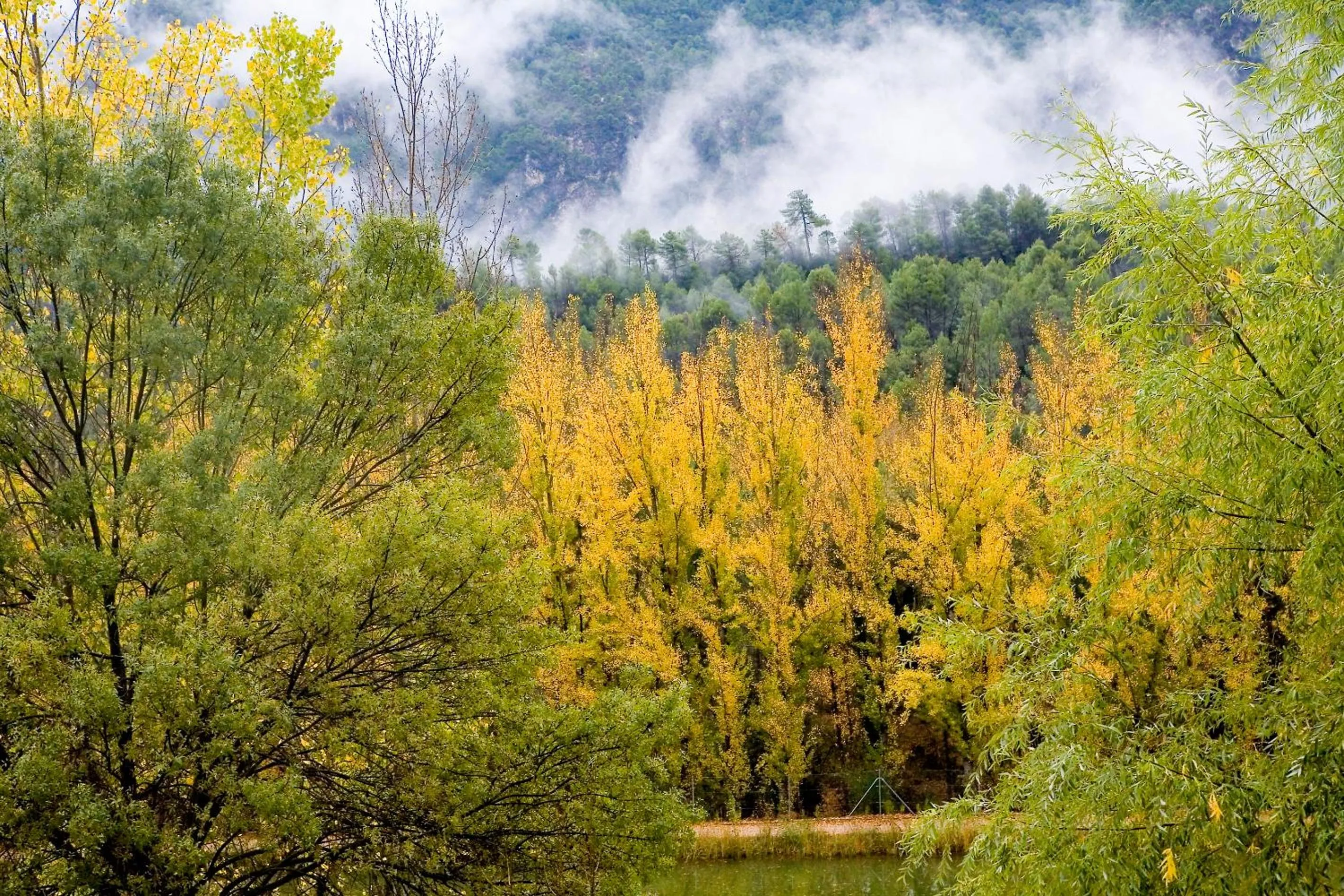 Natural landscape in Hotel Rural Noguera de la Sierpe