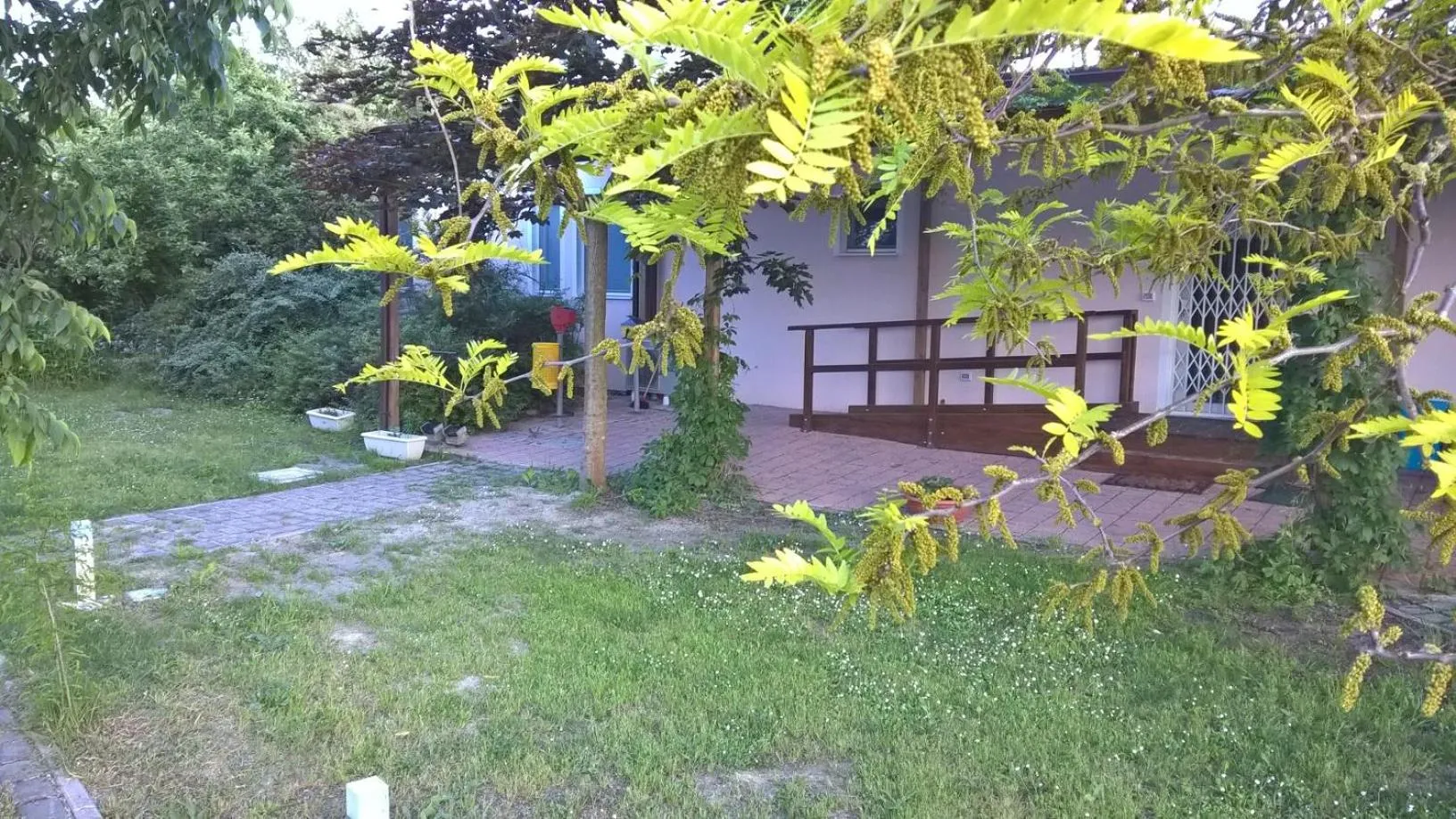 Garden in Rose Canine B&B