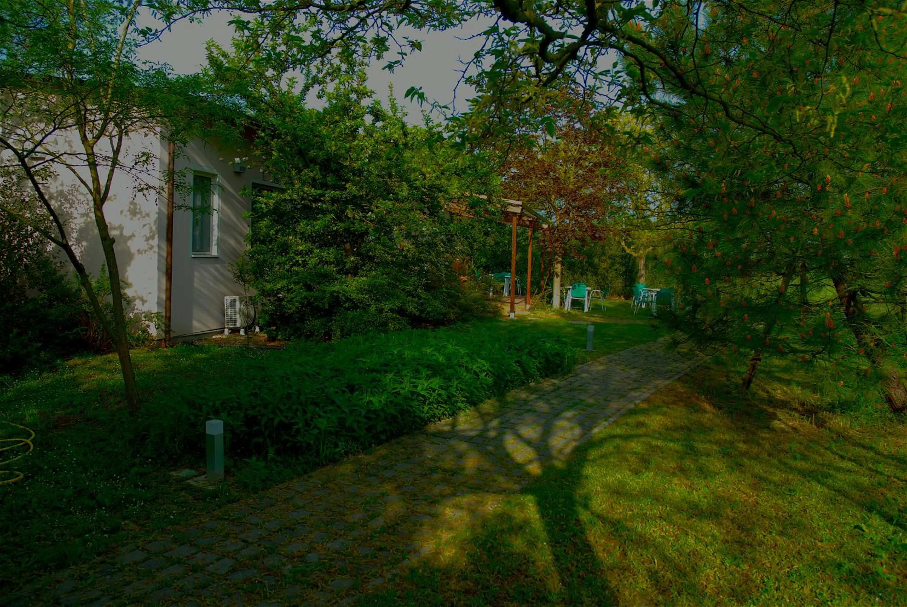 Garden in Rose Canine B&B