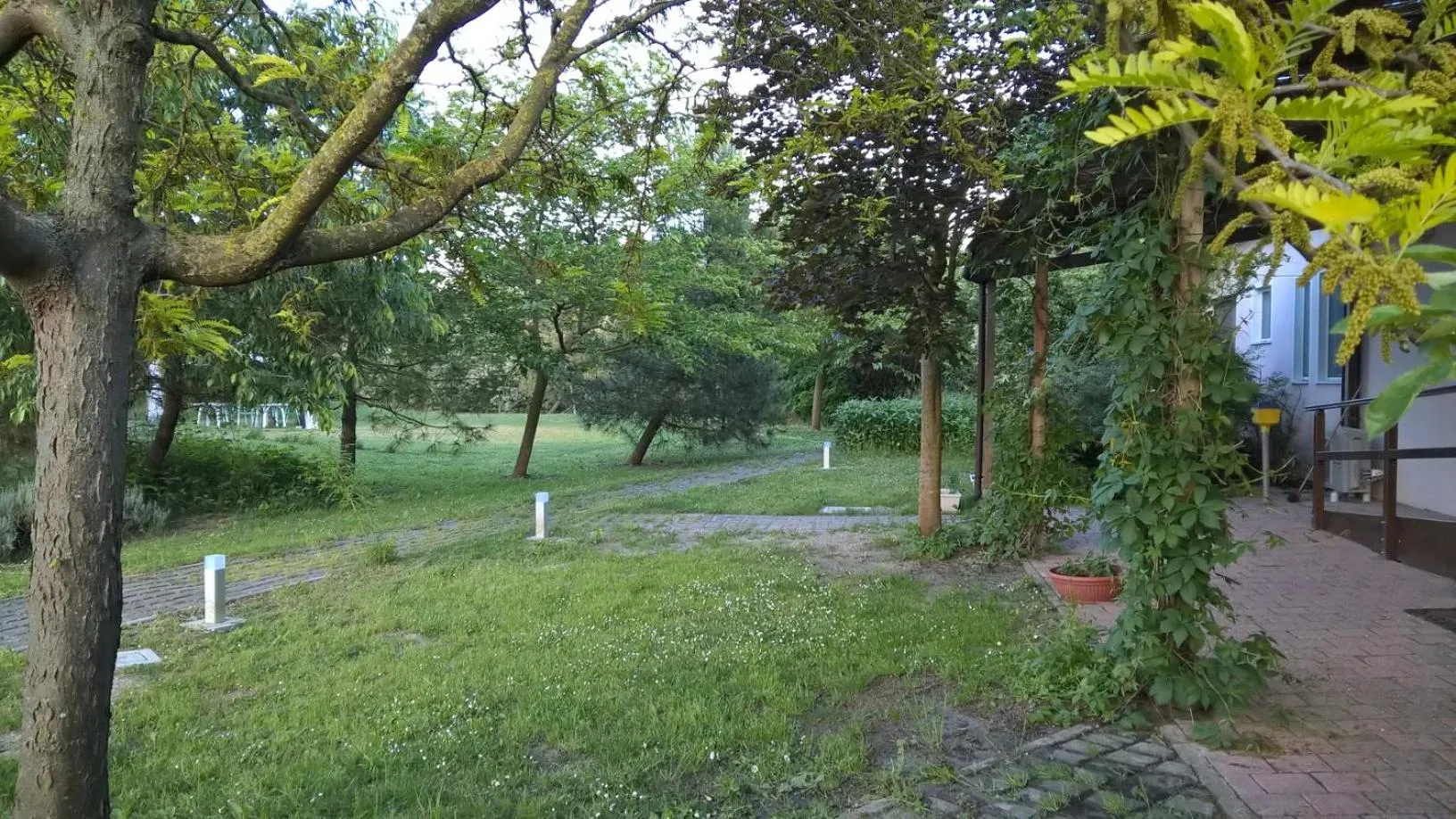 Garden in Rose Canine B&B