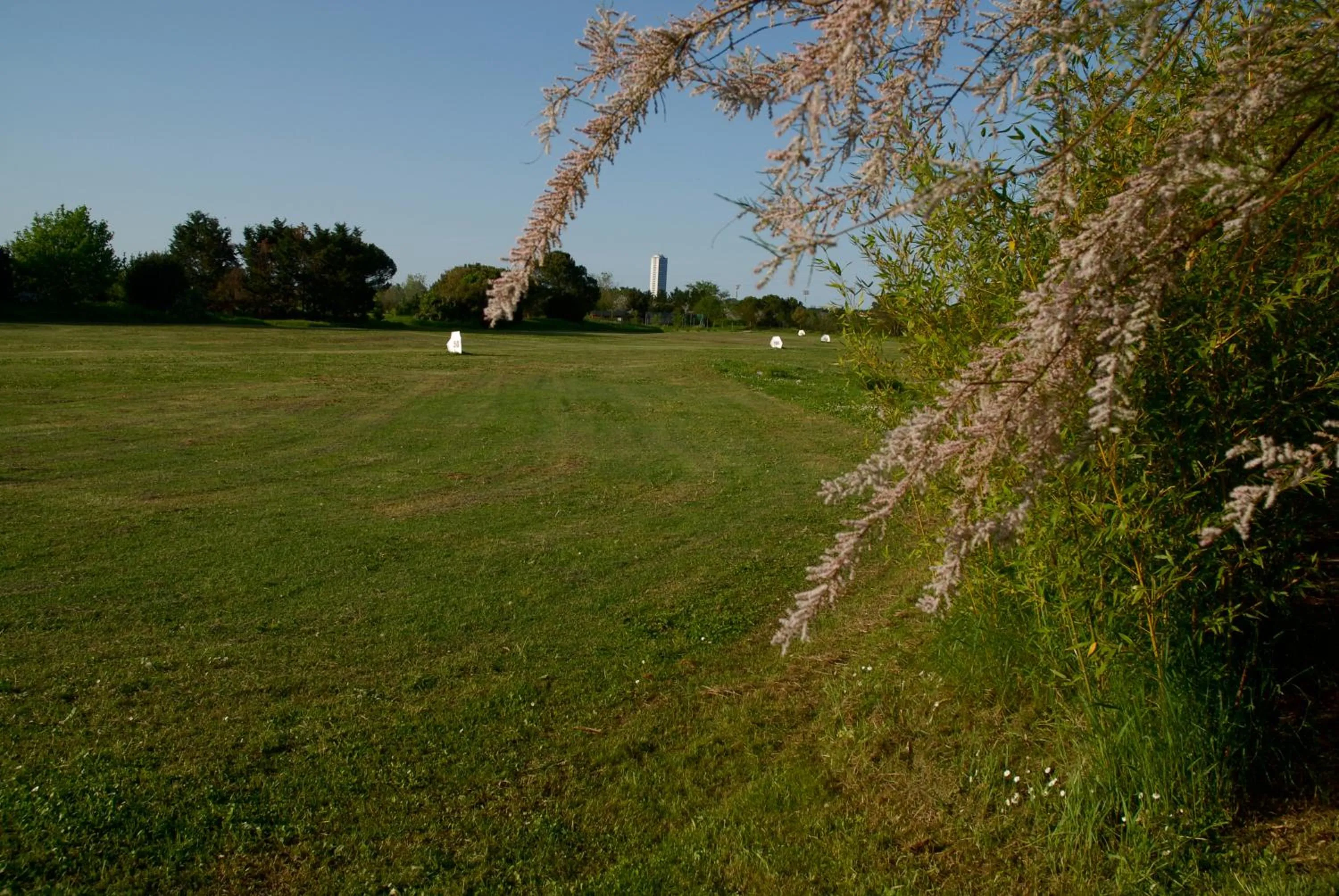 Garden in Rose Canine B&B