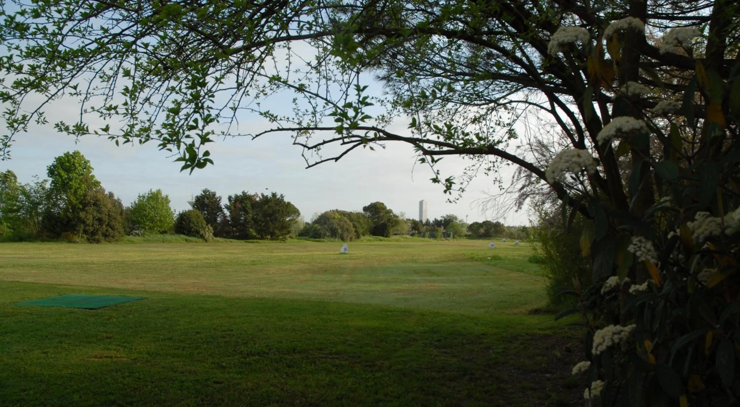 Natural landscape in Rose Canine B&B