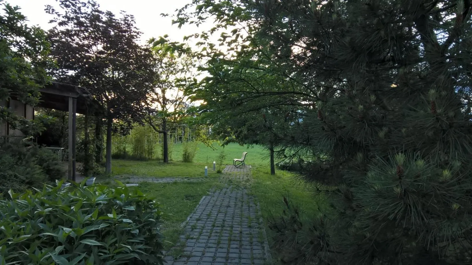 Garden in Rose Canine B&B