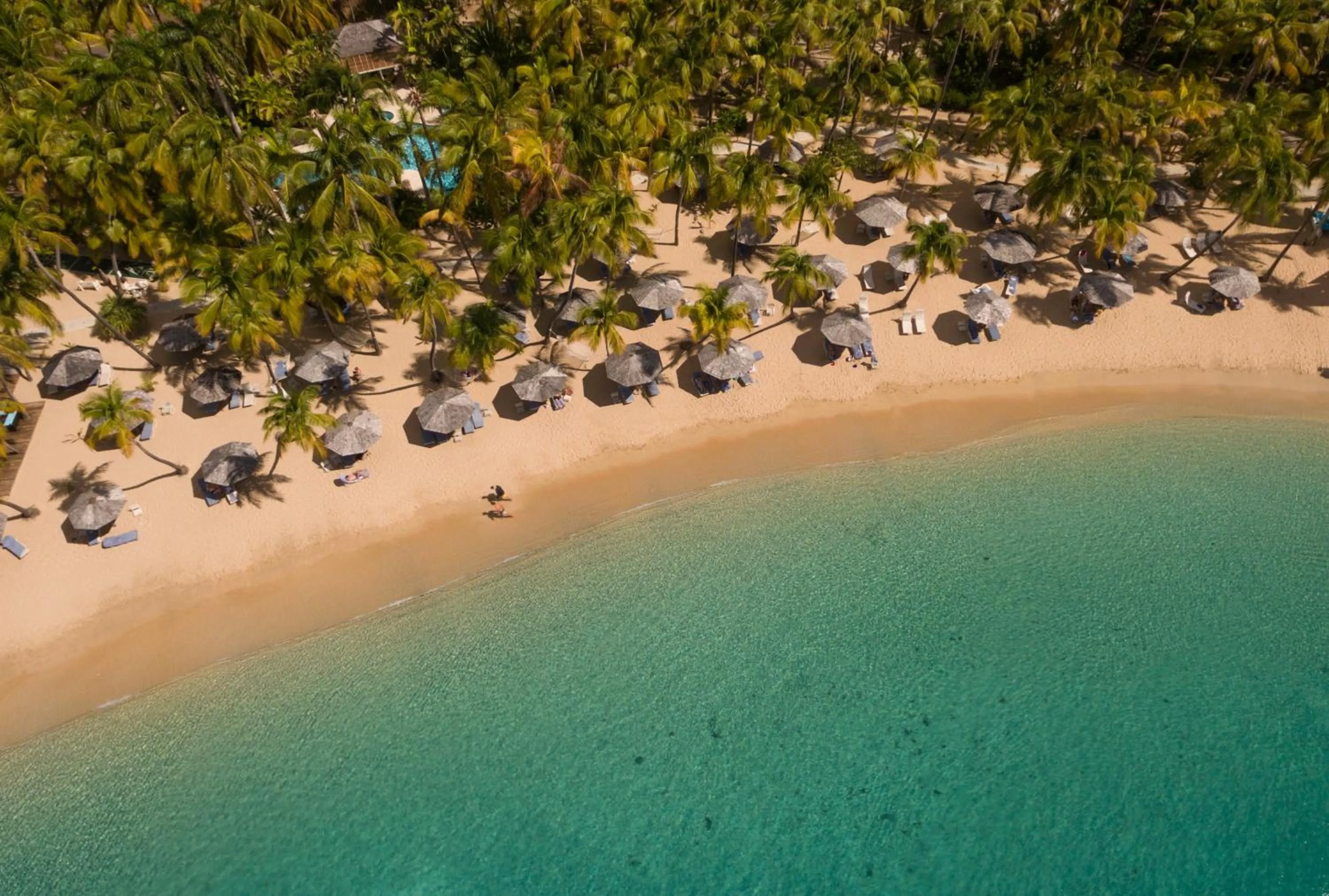 Beach in Curtain Bluff - All Inclusive