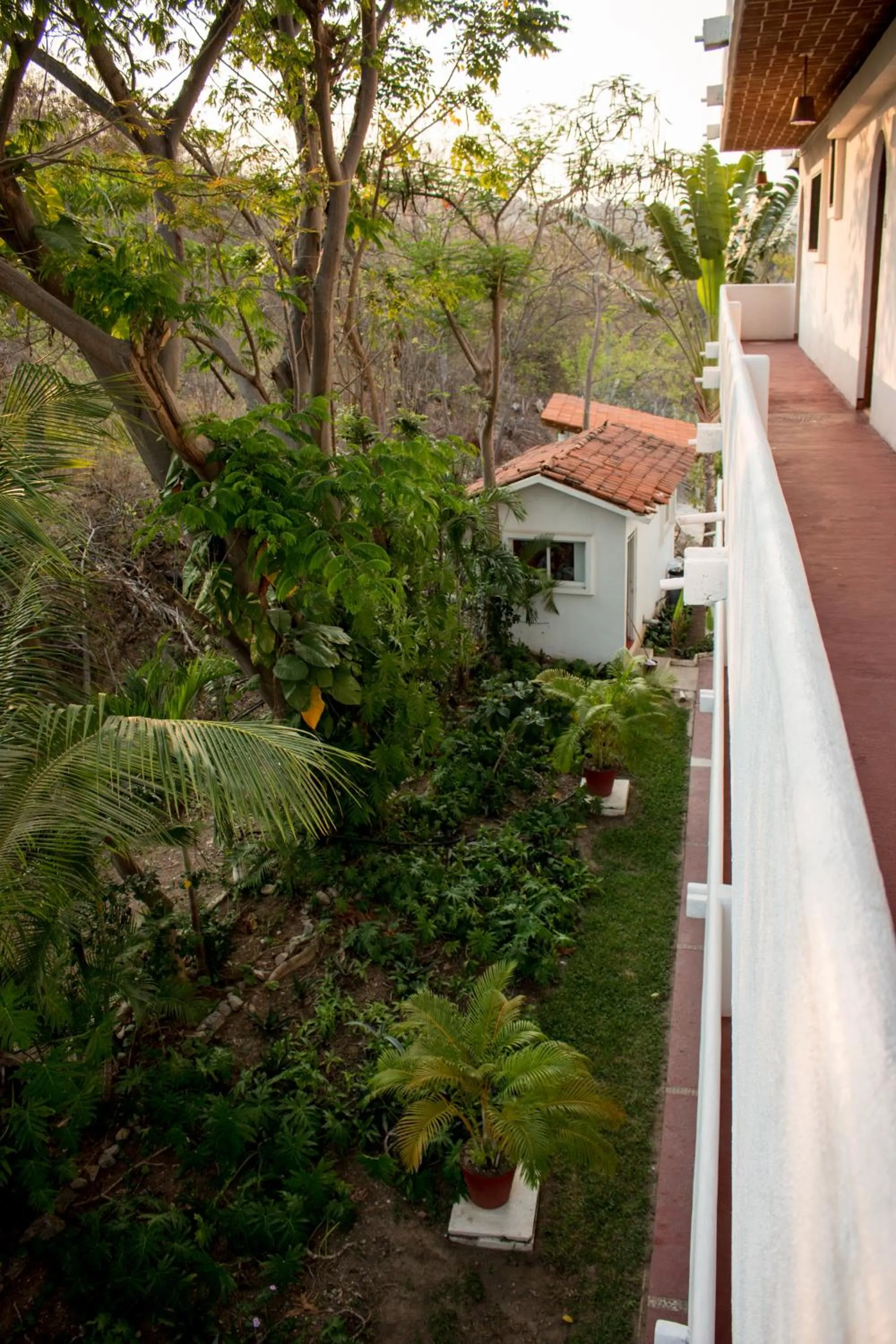 Garden view in Villas El Morro