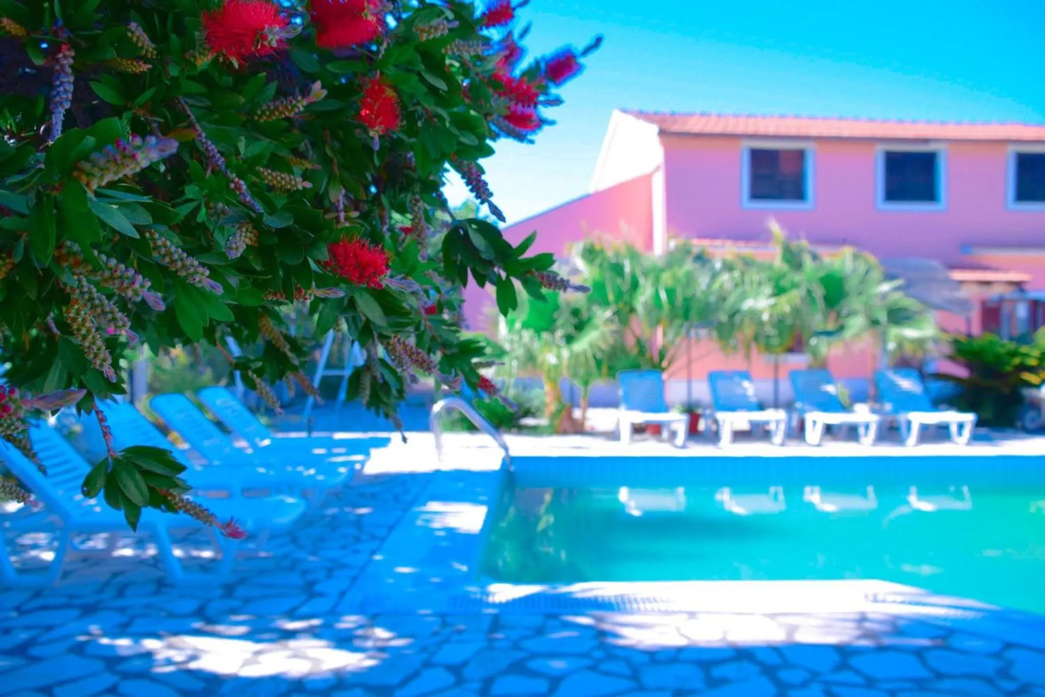 Swimming pool in Villa Valia