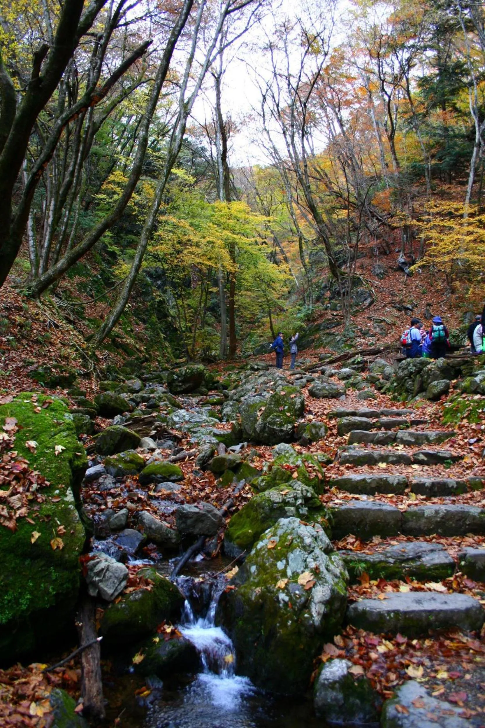 Area and facilities in Shukubo Komadori-Sanso