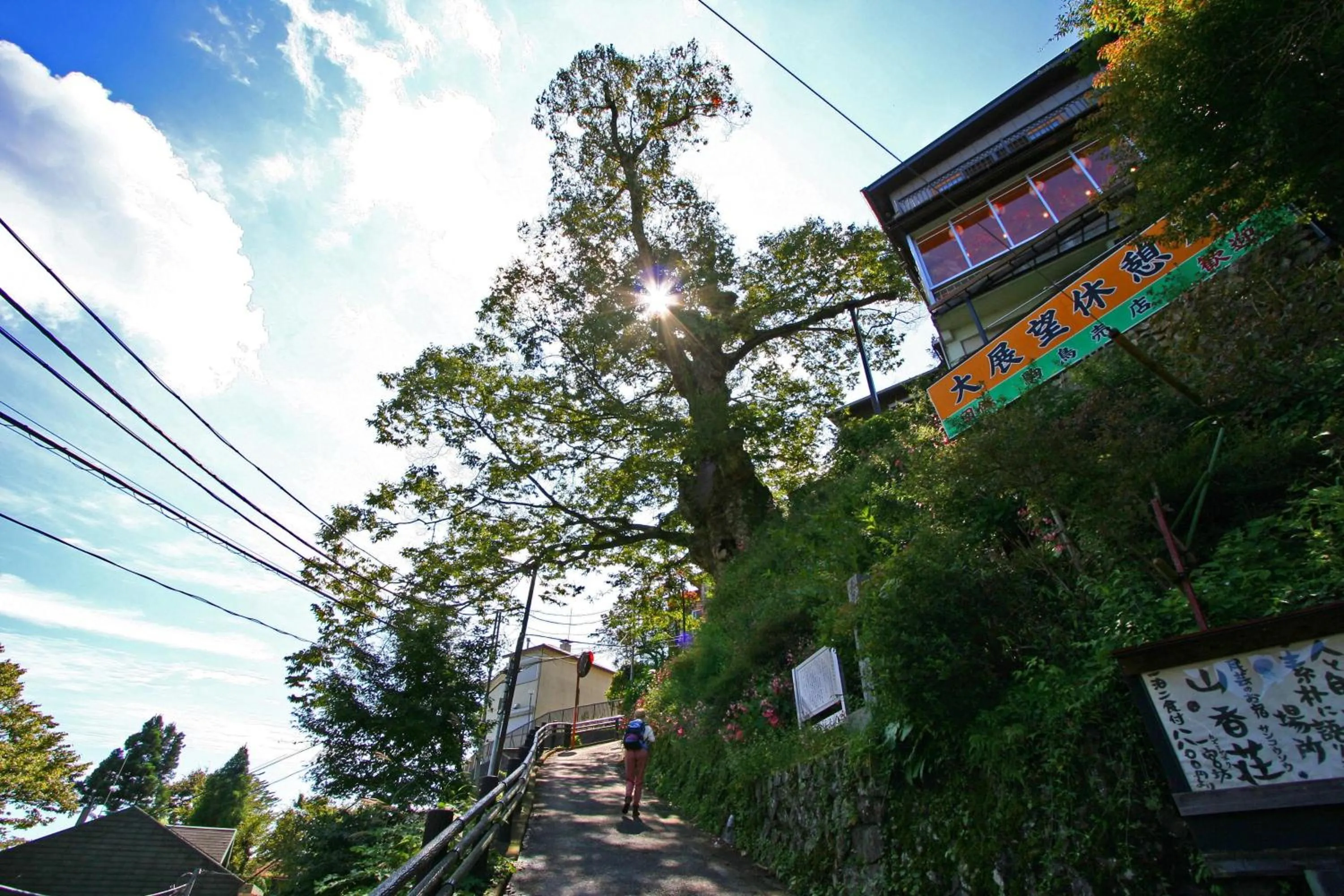 Area and facilities in Shukubo Komadori-Sanso