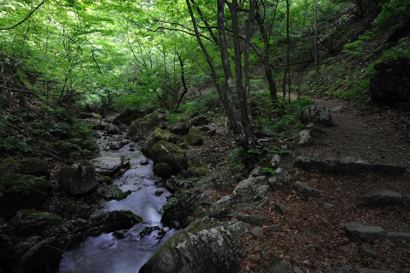 Area and facilities in Shukubo Komadori-Sanso