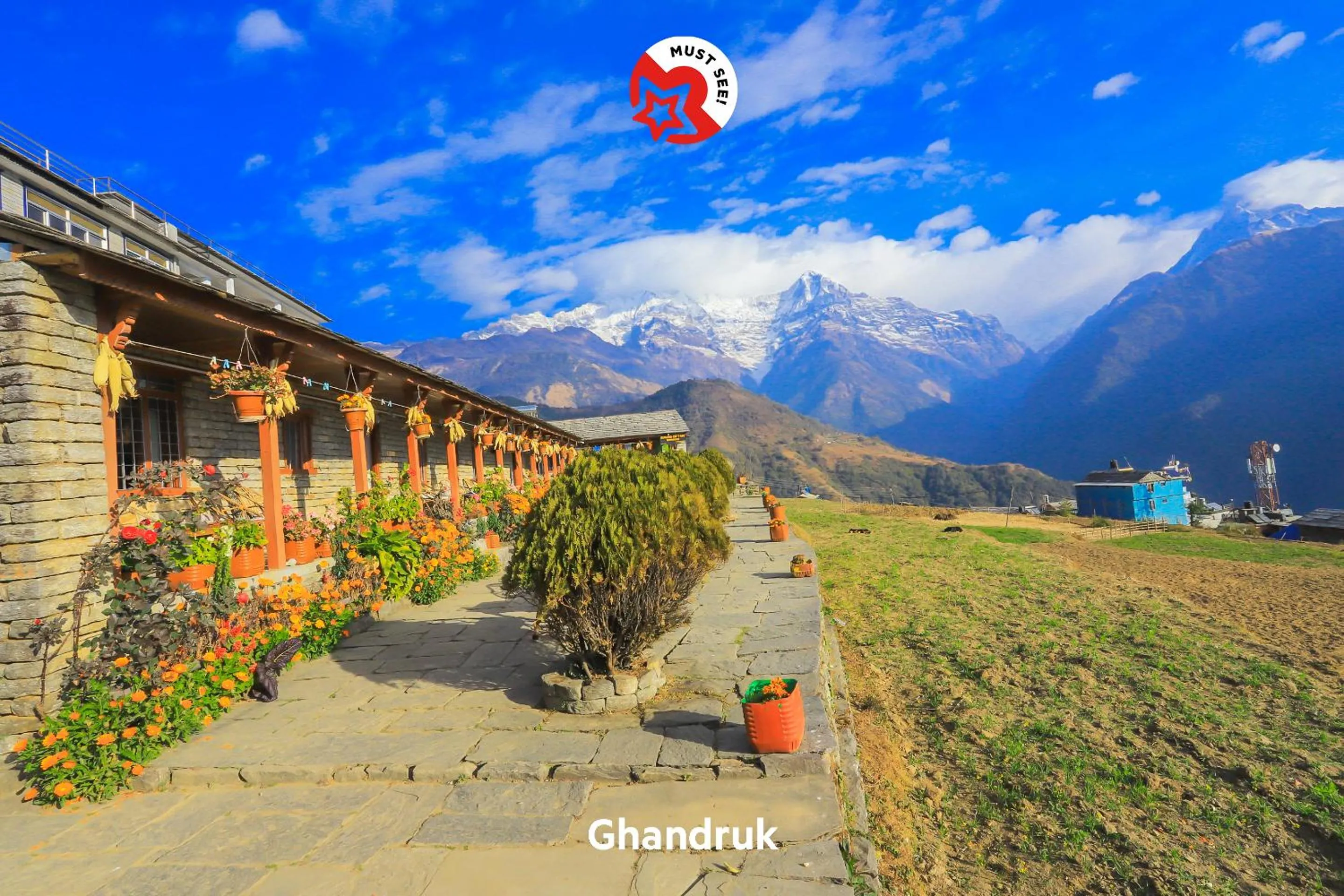 Natural landscape in Hotel Bougainvillea