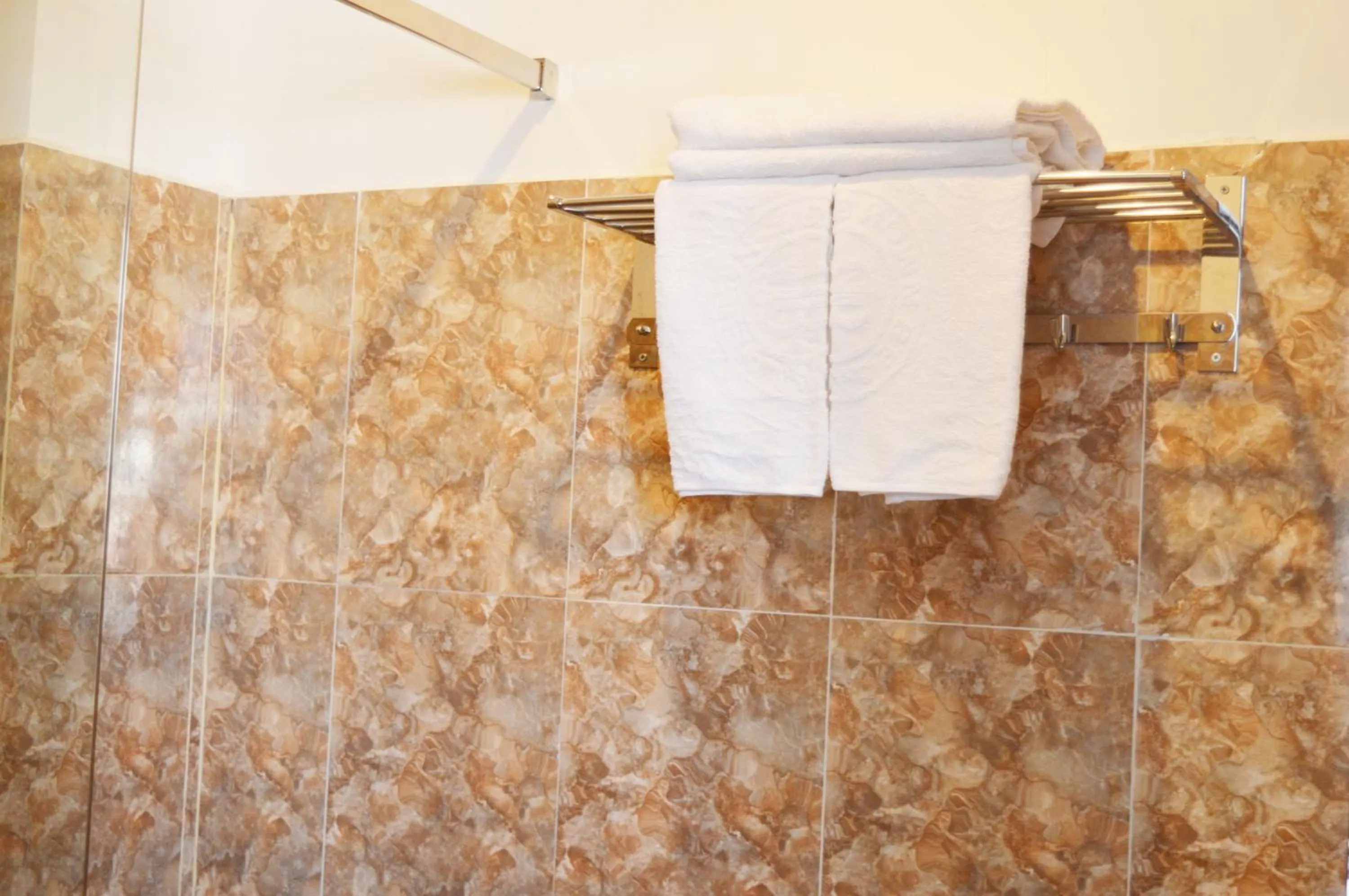 Shower in Brown Bean 2 Hotel