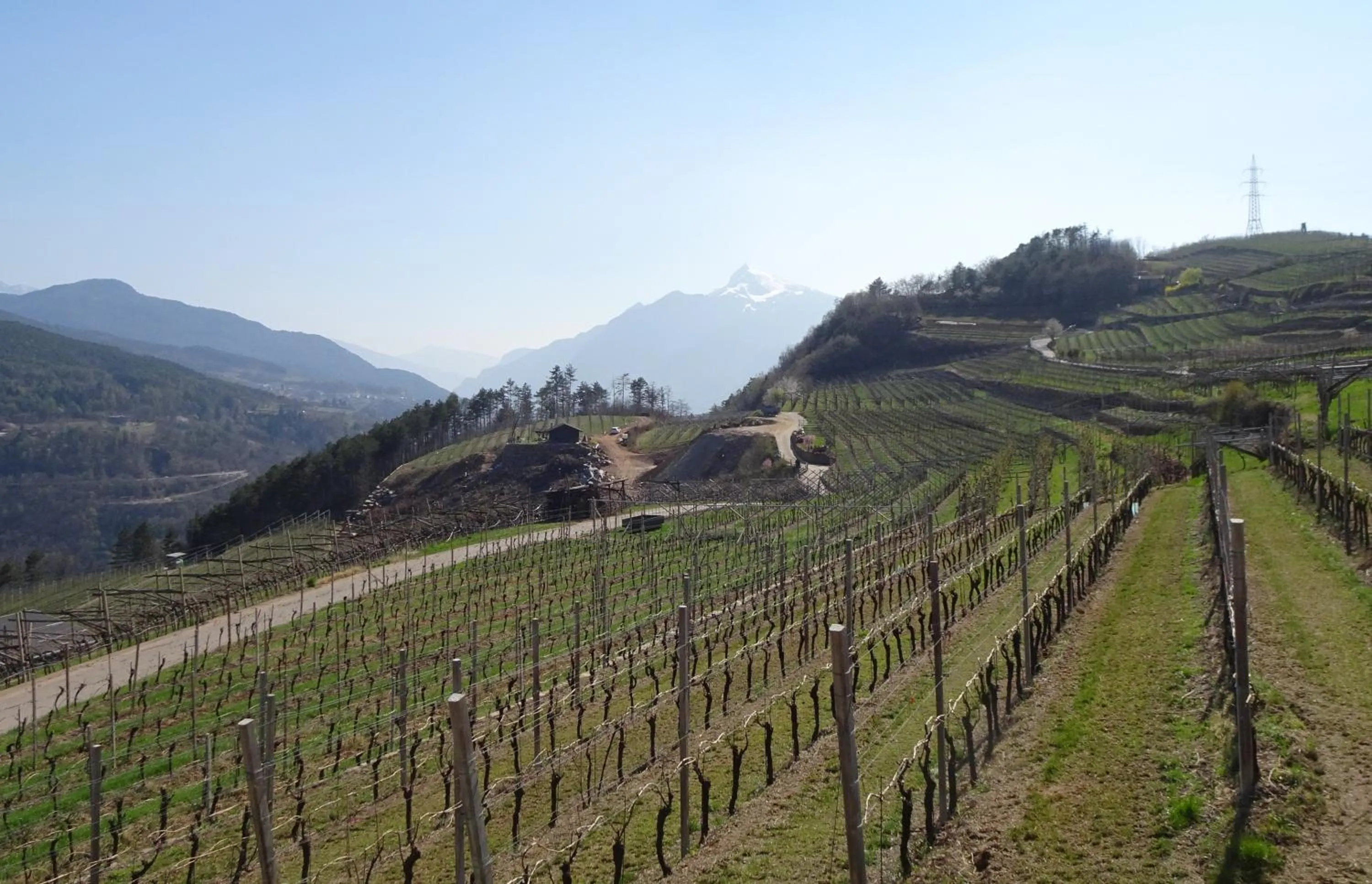 Natural landscape in B&B San Valentino