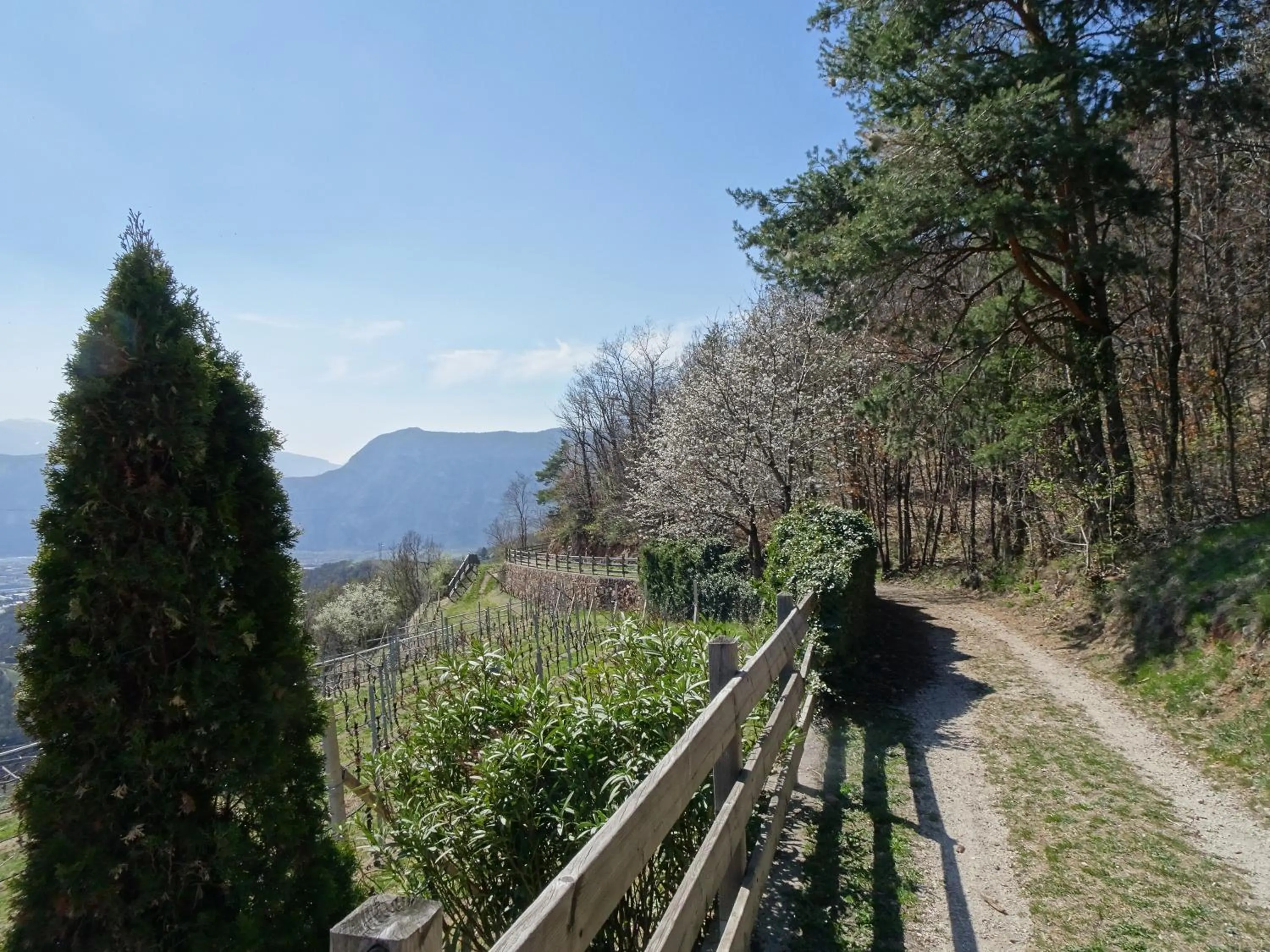 Hiking in B&B San Valentino