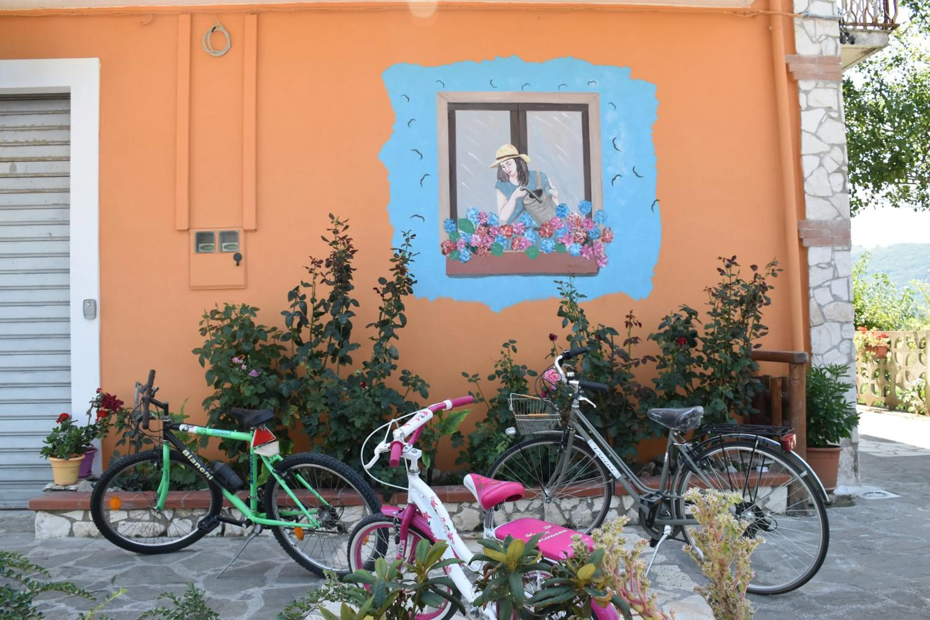 Cycling in B&B NEL VERDE