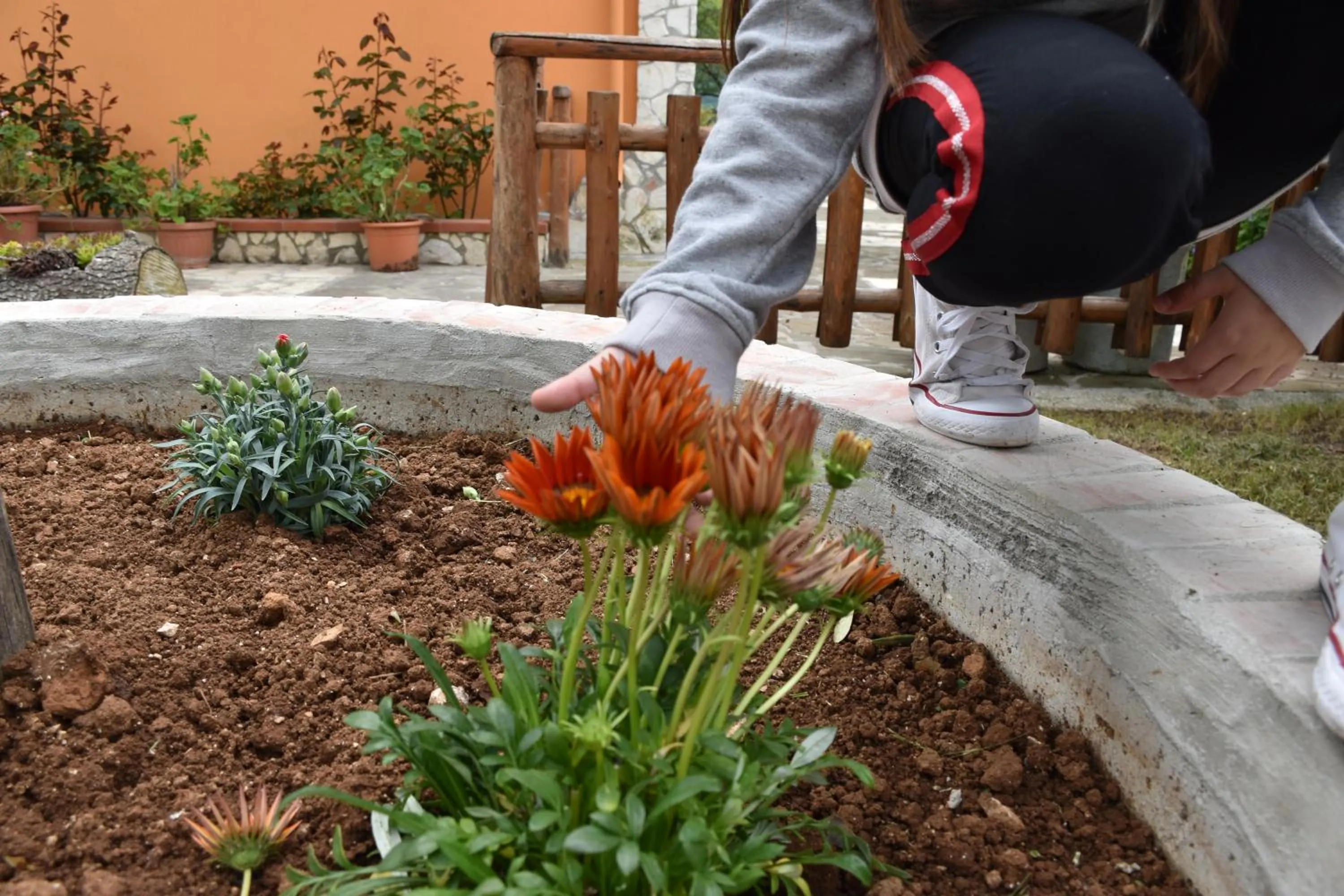 Bird's eye view in B&B NEL VERDE