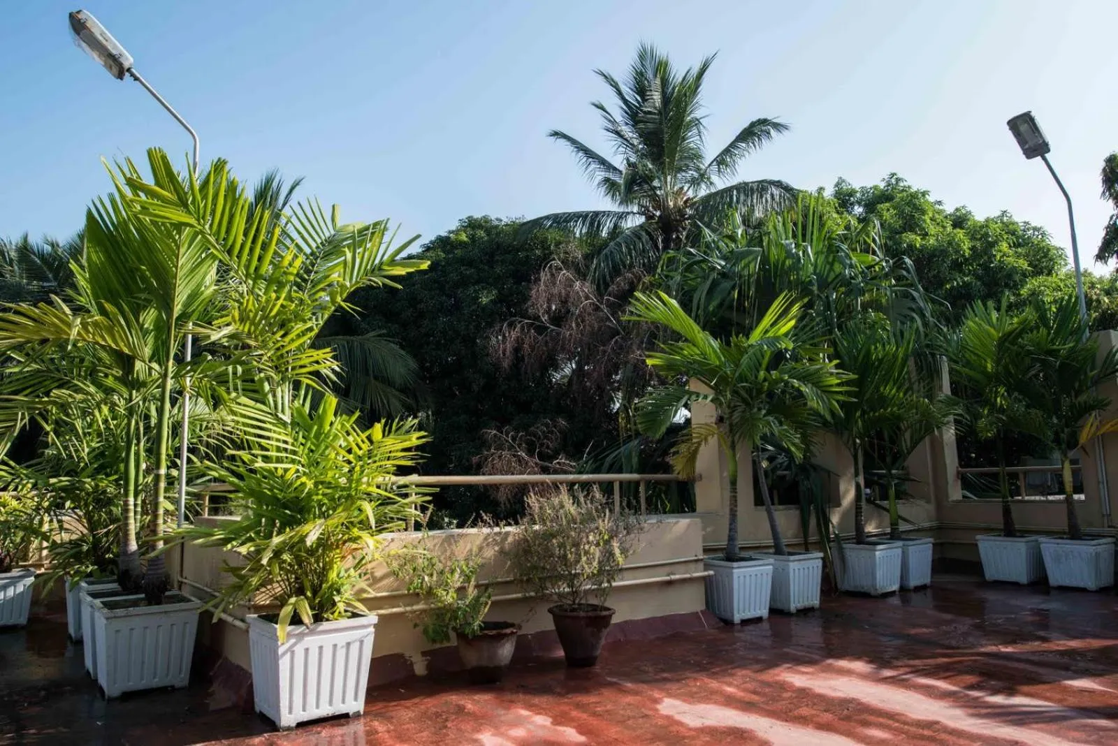 Balcony/Terrace in Hanu Reddy Residences Wallace Garden
