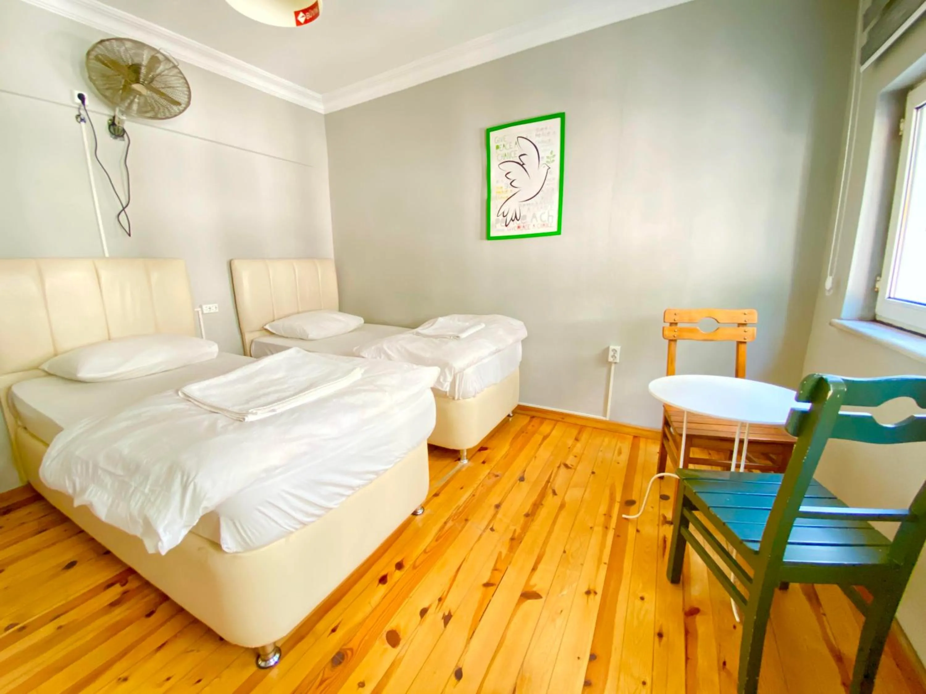 Bed in Windrose Hostel Istanbul