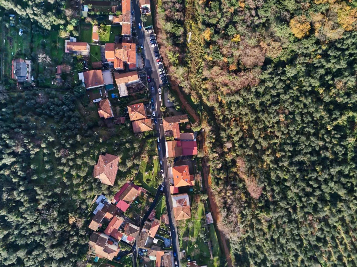 Bird's eye view in Dimora Carducci