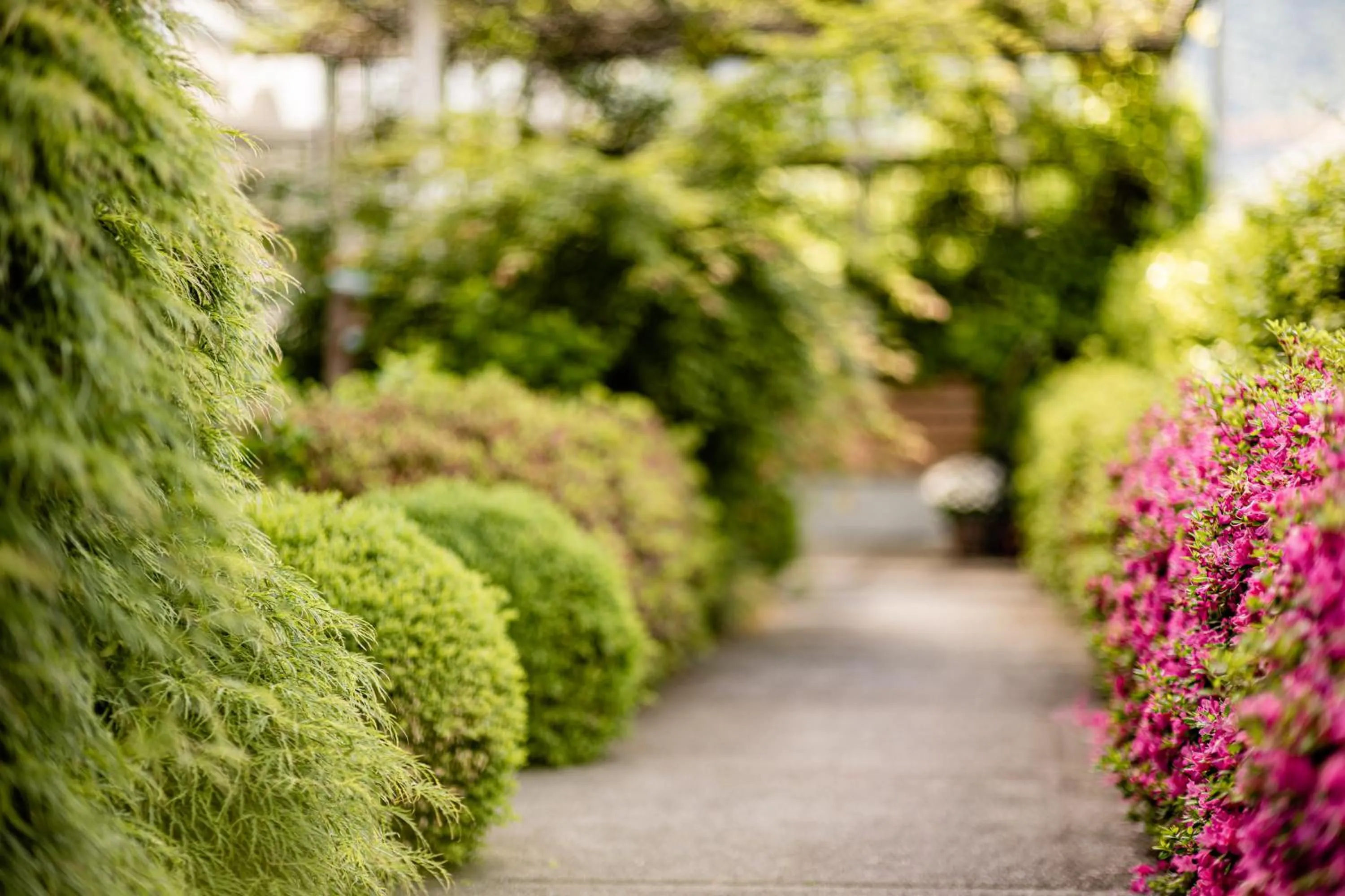 Property building in Garden Residence